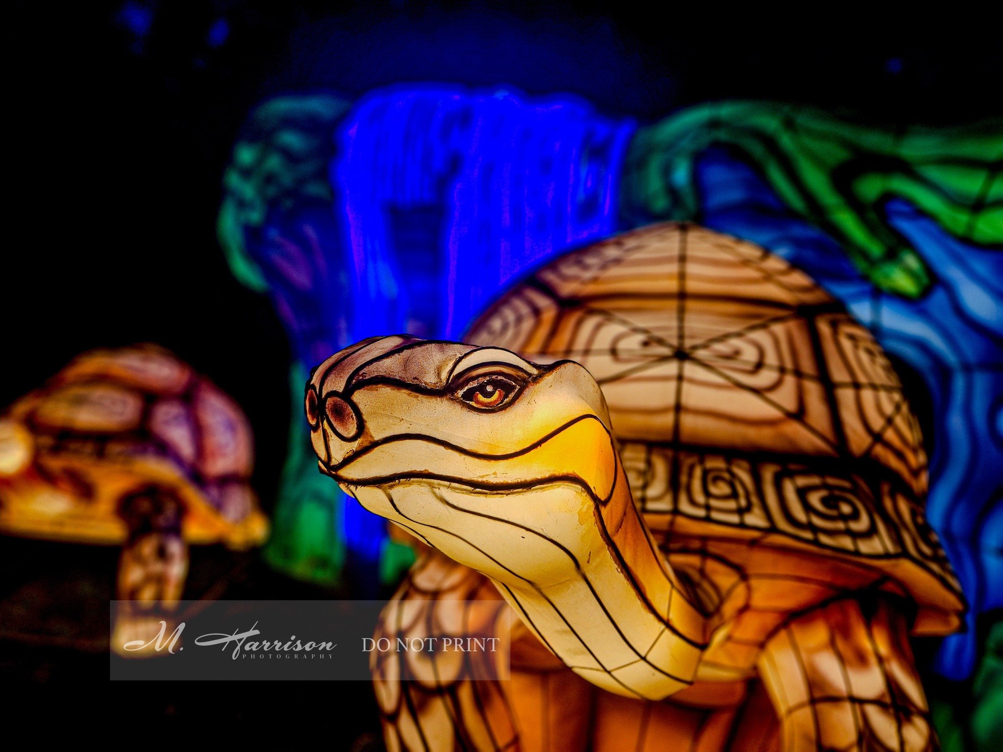 Super enjoyable time at our own Zoo. Didn't have my camera, so used my phone. :)

#glowwilderie
#eriezoo
#zoolife 
#zoo
#glowlights
#neonlights 
#neon 
#neonphotography 
#samsungphone 
#samsungphotography
#chameleonsofinstagram 
#chameleon 
#visiteri