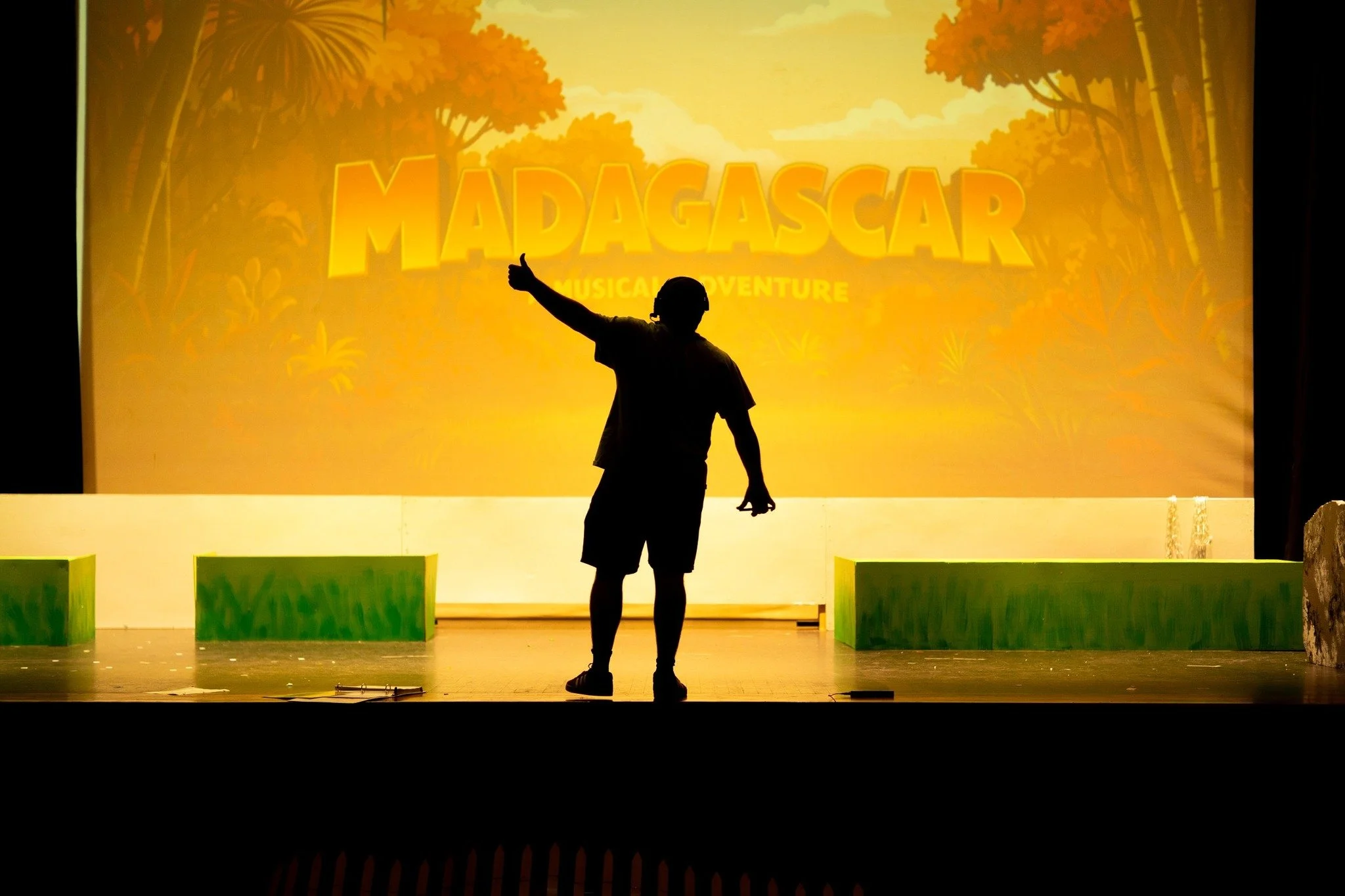 It's Showtime!! Let's Go!!
Madagascar, Jr., this week at Strong Vincent! 630pm! Presented by Footlights Theatre Performing Arts Center