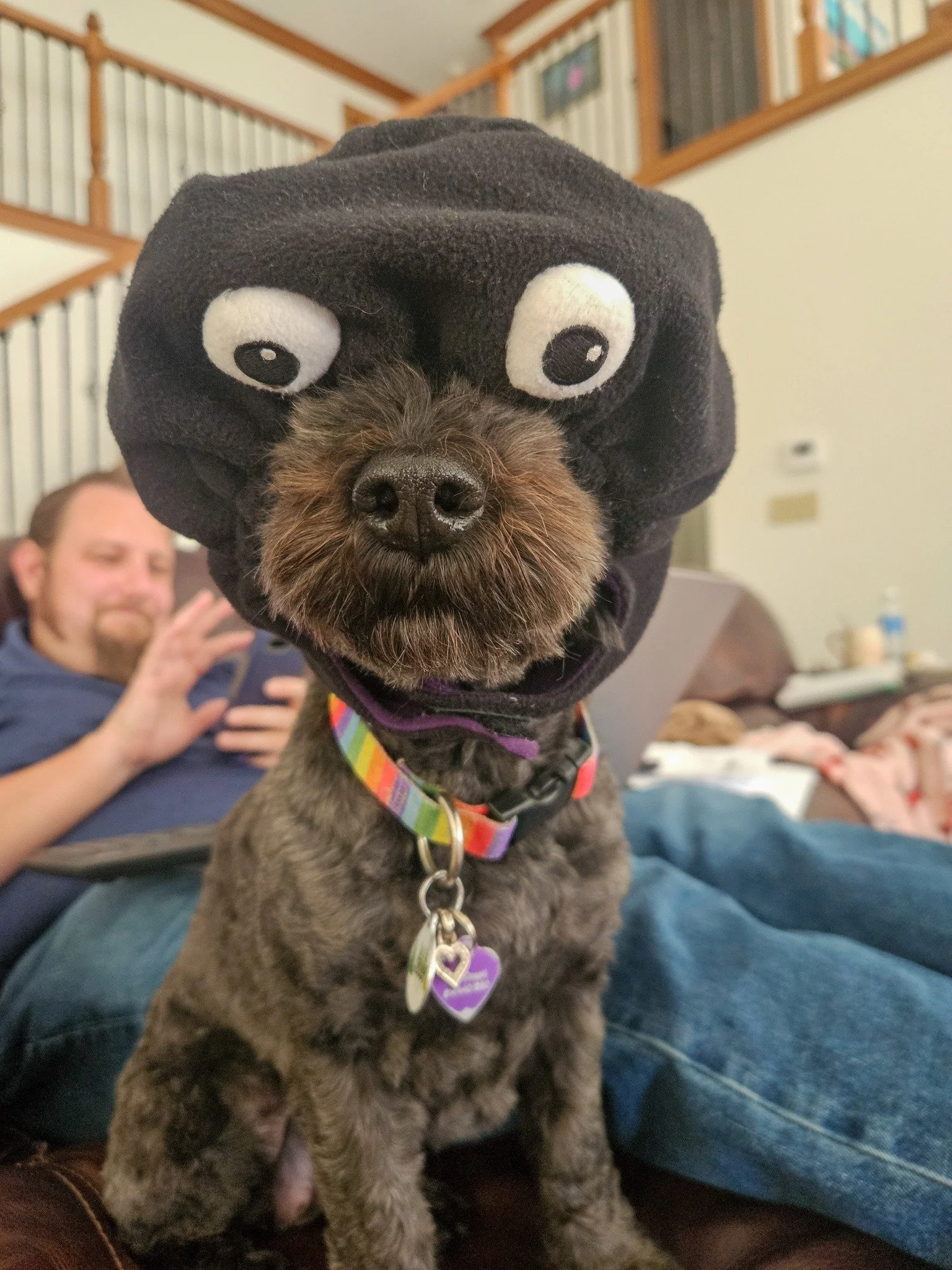 She loves us.
#doggo
#halloween2025
#dogsofinstagram
#dogsofinsta
#dogsofhalloween
#cockapoolife
#shelovesus
#cockapoolove
#jelly