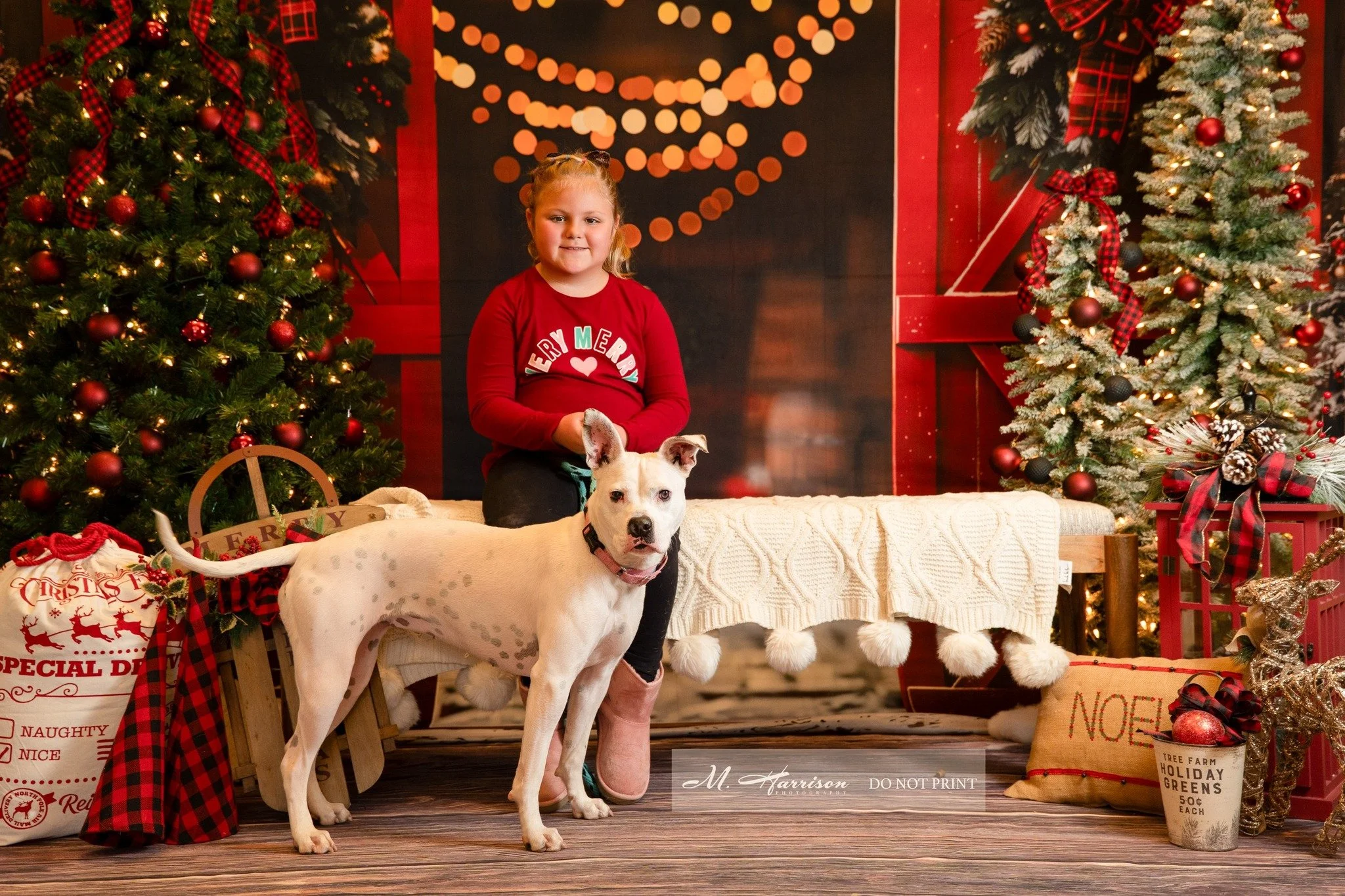 Today was a blast!!! Four hours with puppies, kittens, and guinea pigs...it was heaven for me!!! 

Thank you to all who stopped out today for the Whiskmas Wonderland fundraiser! You are definitely making a difference for the pets in waiting at the Er