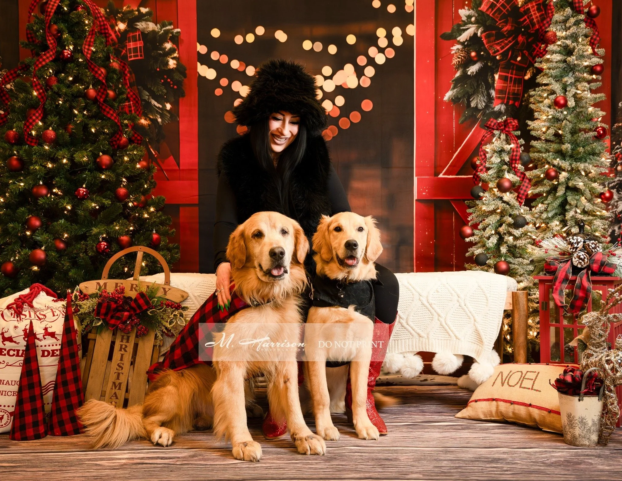 Thankful for this young lady and her babes. 

#whiskmaswonderland 
#holidaypets 
#christmaspets
#petphotography 
#petphotographer 
#humanesociety 
#eriepa 
#adoptashelterpet 
#adoptionsaveslives