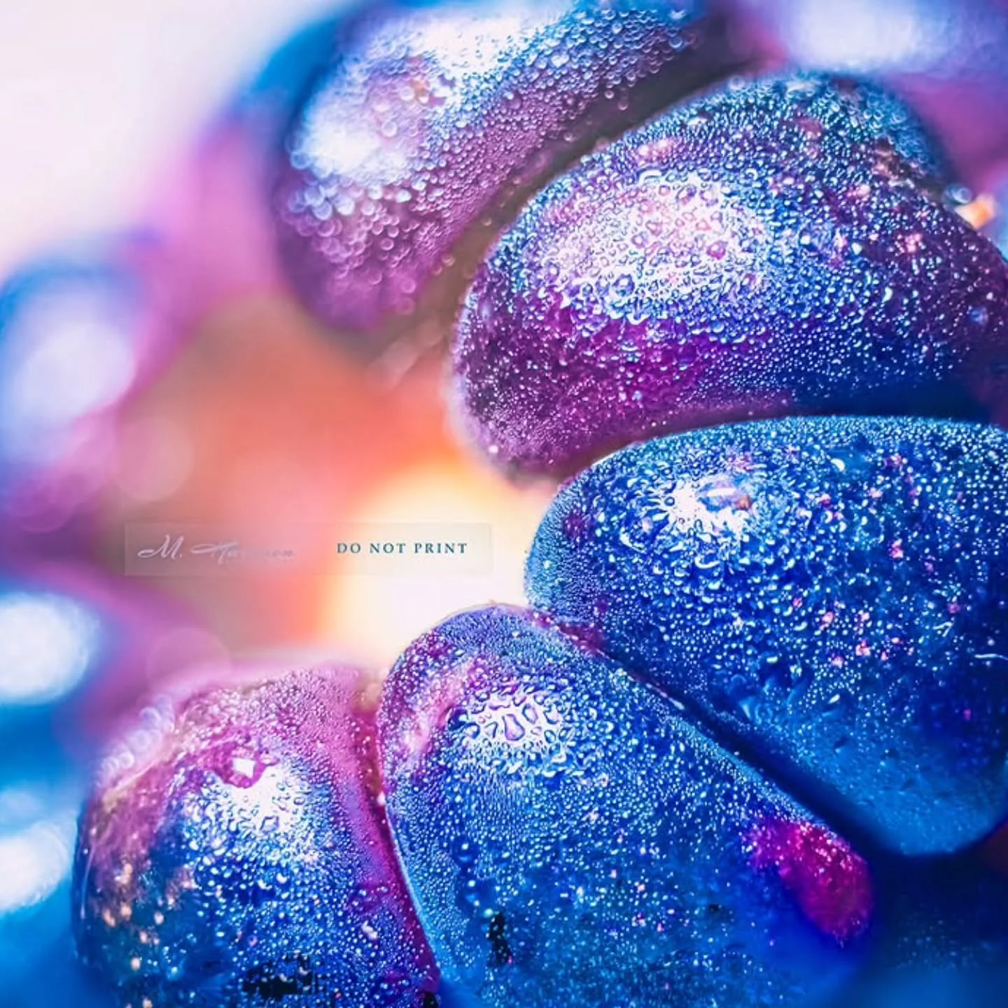 Ooooooh, excited for this one!!! How beautiful is this blackberry?! 

I'm definitely ordering an acrylic print of this. You should, too! 20% off right now. 😲😲😲😲

https://mharrisonphotography.shootproof.com/gallery/prints/album/14555508

#macro_ho