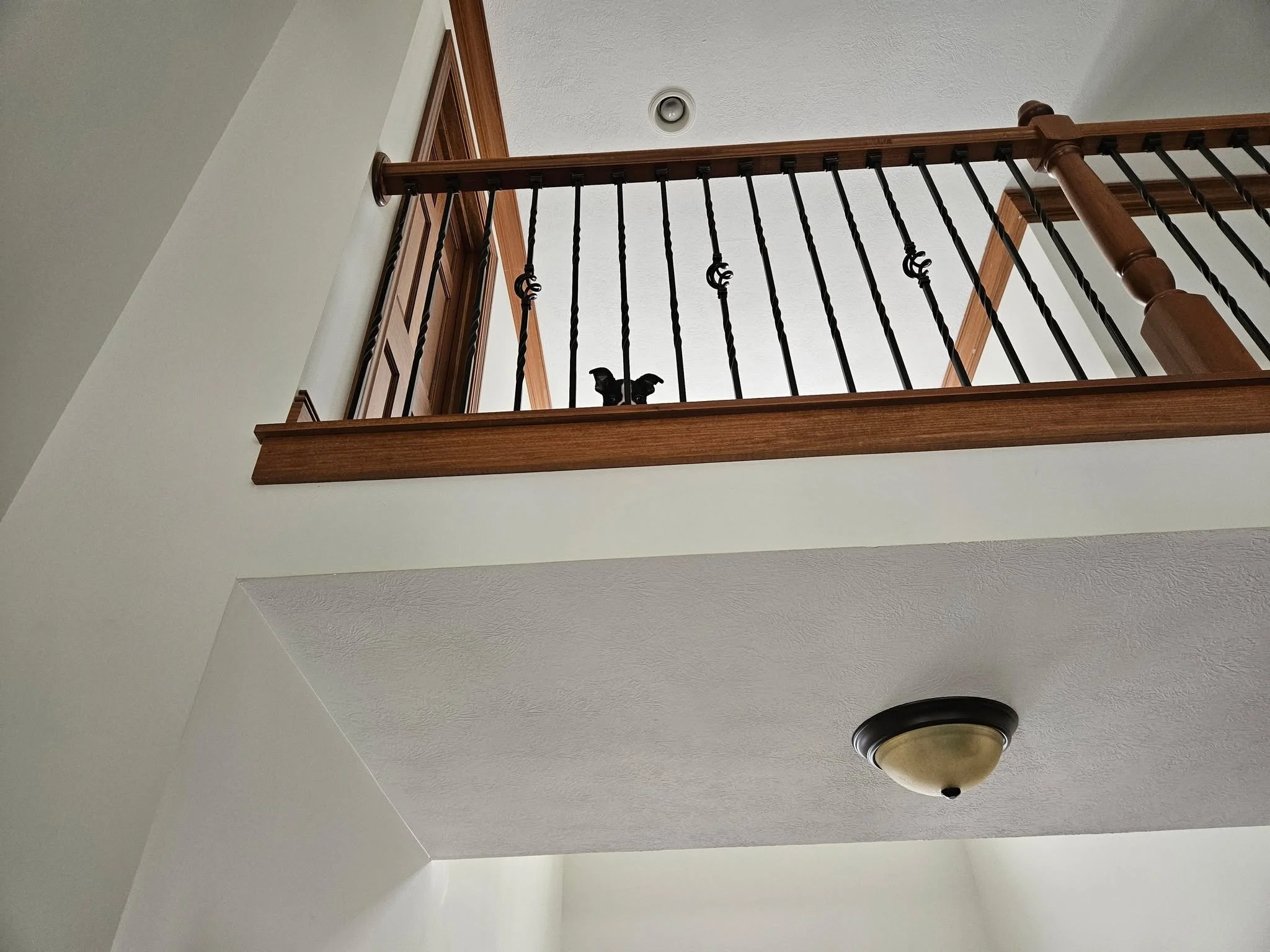 We have breached my Les Miserables-esque barricade. 

#sneakysneaky 
#clevergirl