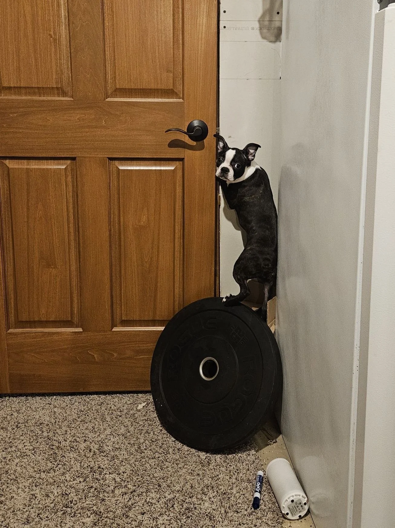 "Yes, unless they figure out how to open doors..." 

Jurassic Park