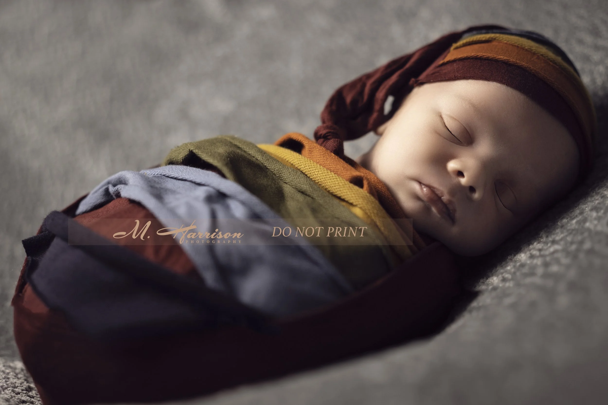 DSC08894-Editlogo.jpg