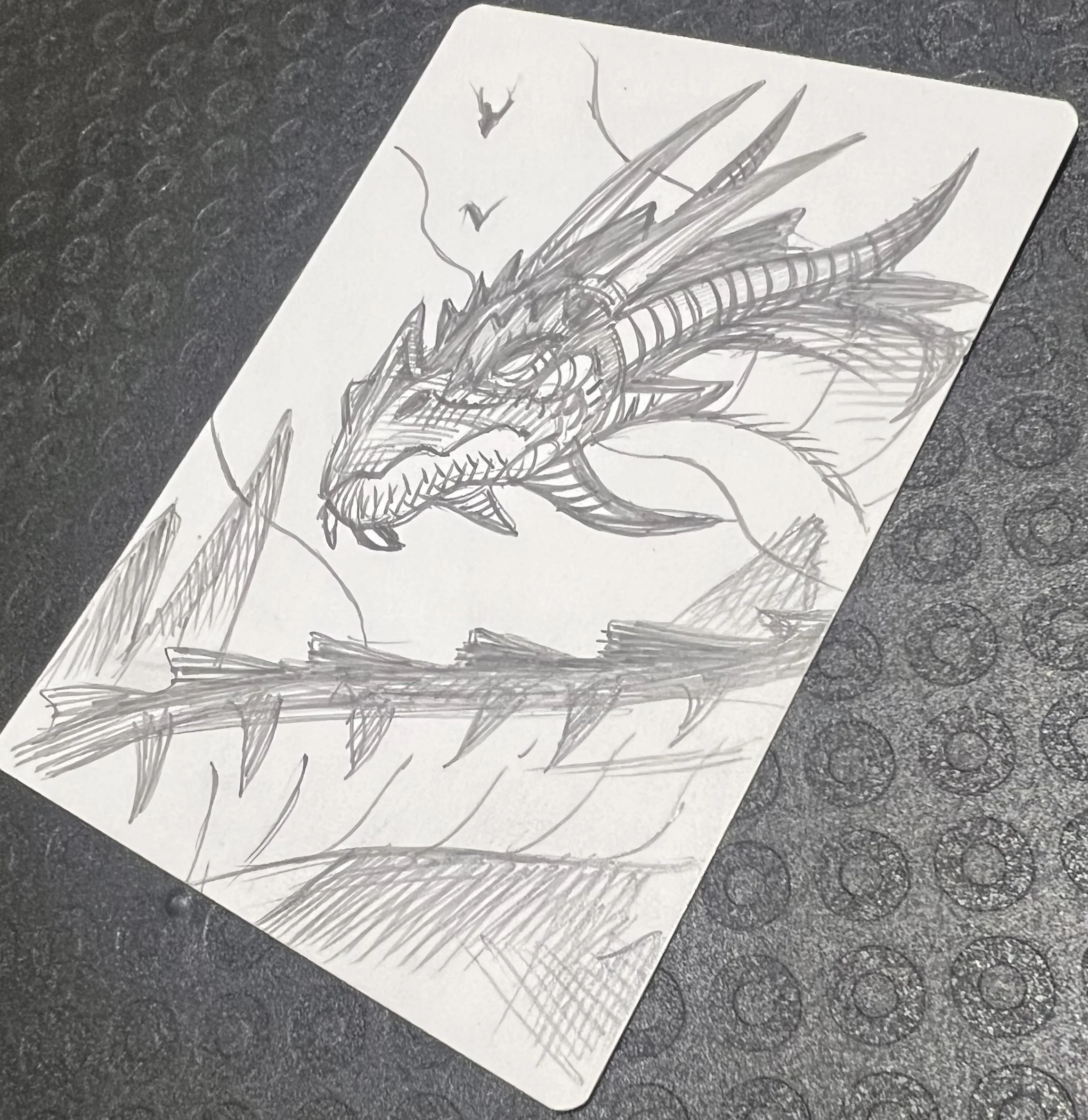 Add Quick Pencil/ink Drawing on Back