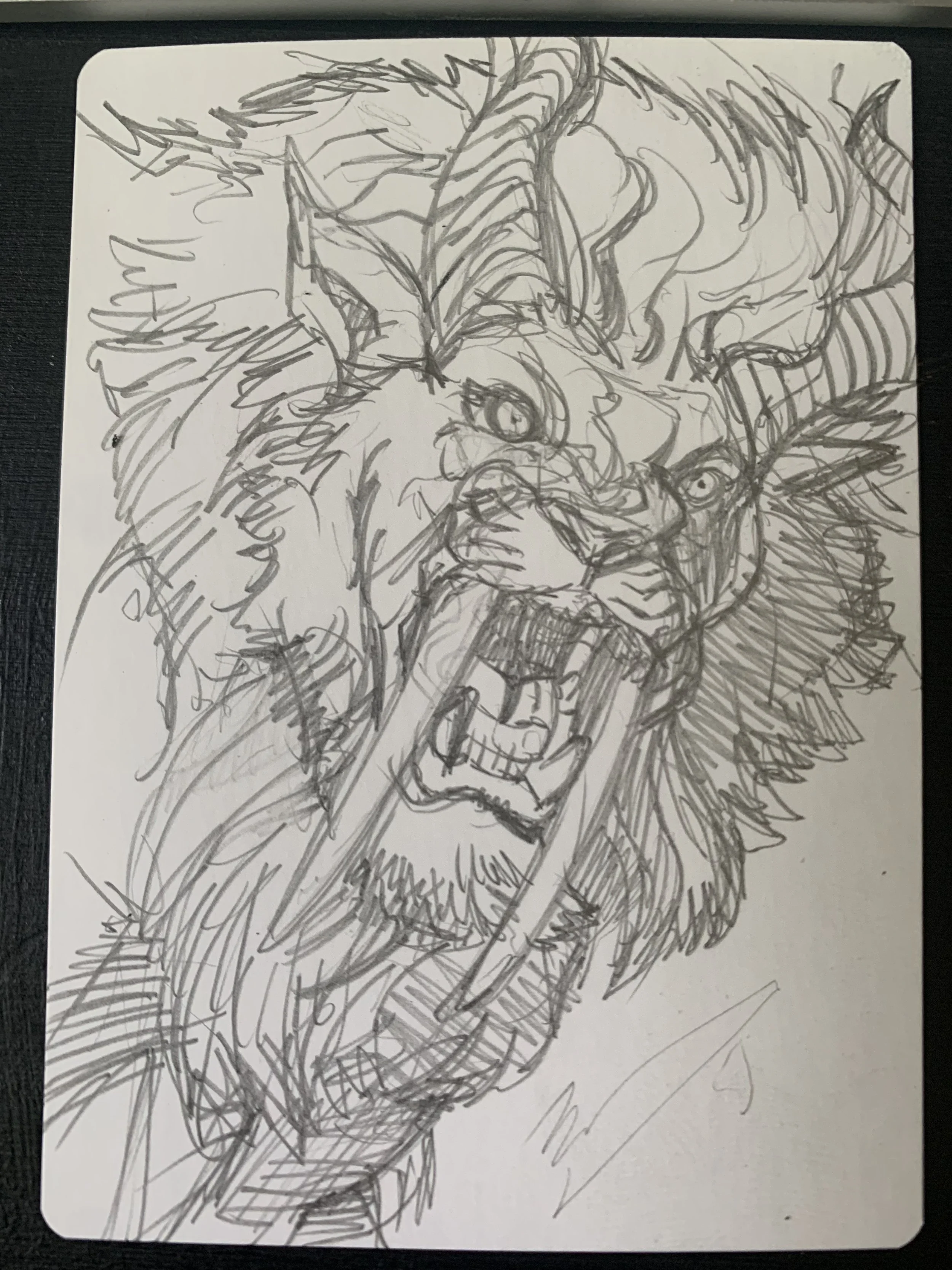 Liger.quicksketch.jpg