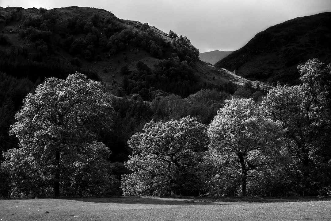 2022 UK Scotland-5.jpg