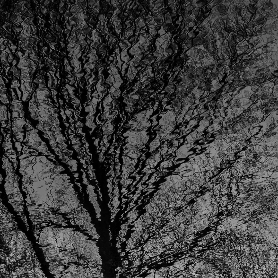 202602 Reflejos Estanque Retiro-2.jpg