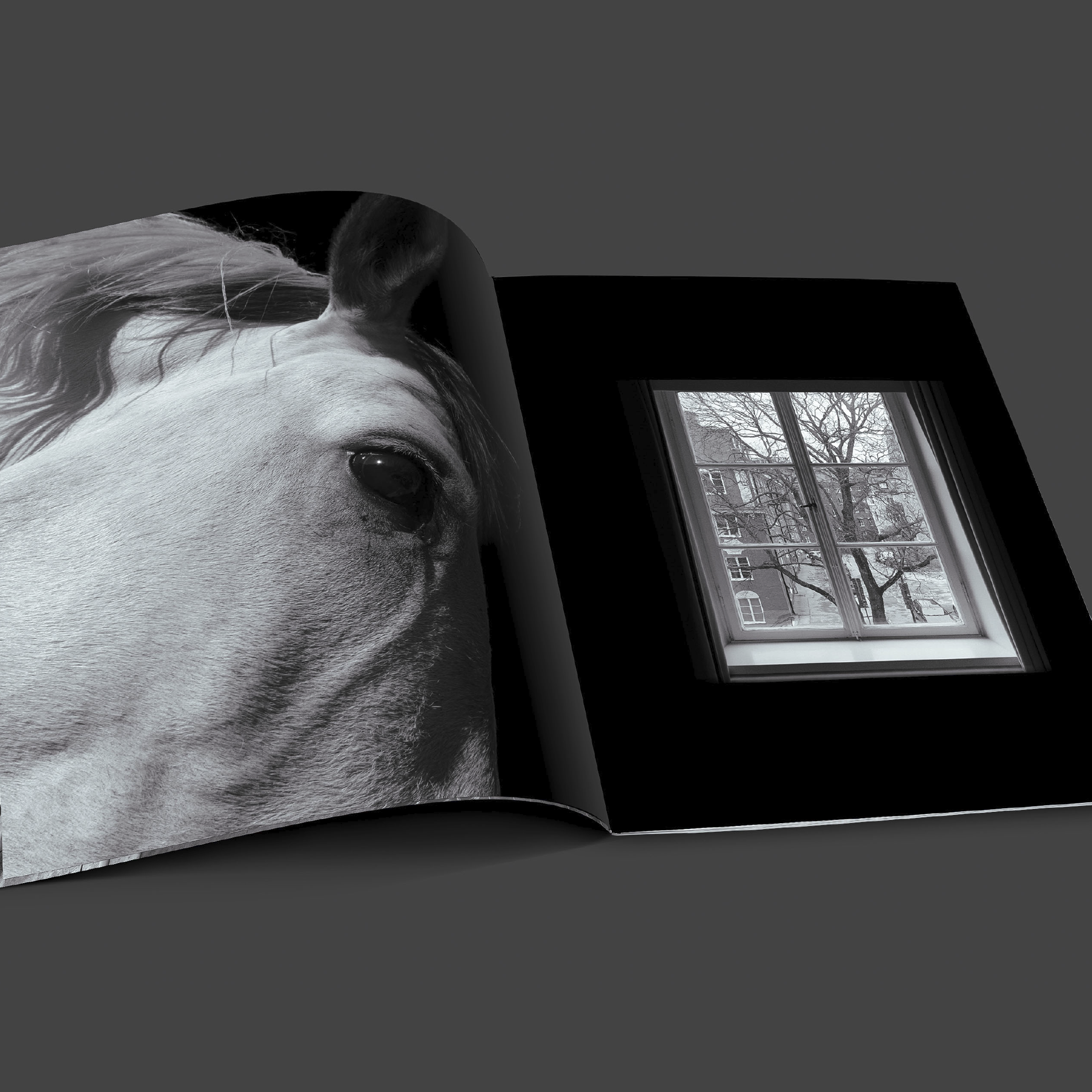 untitled shoot-007.PNG