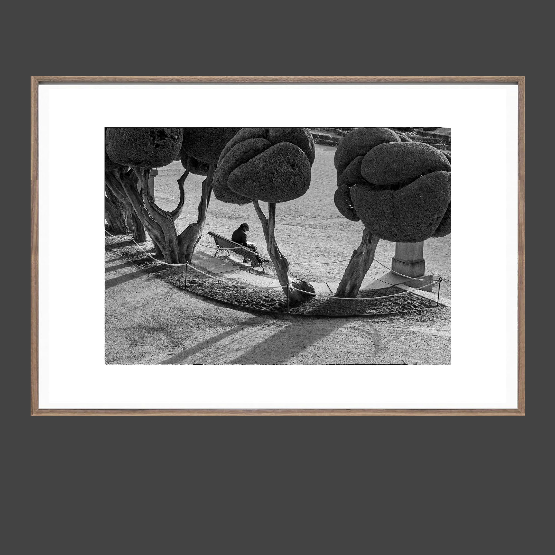 untitled shoot-009.PNG