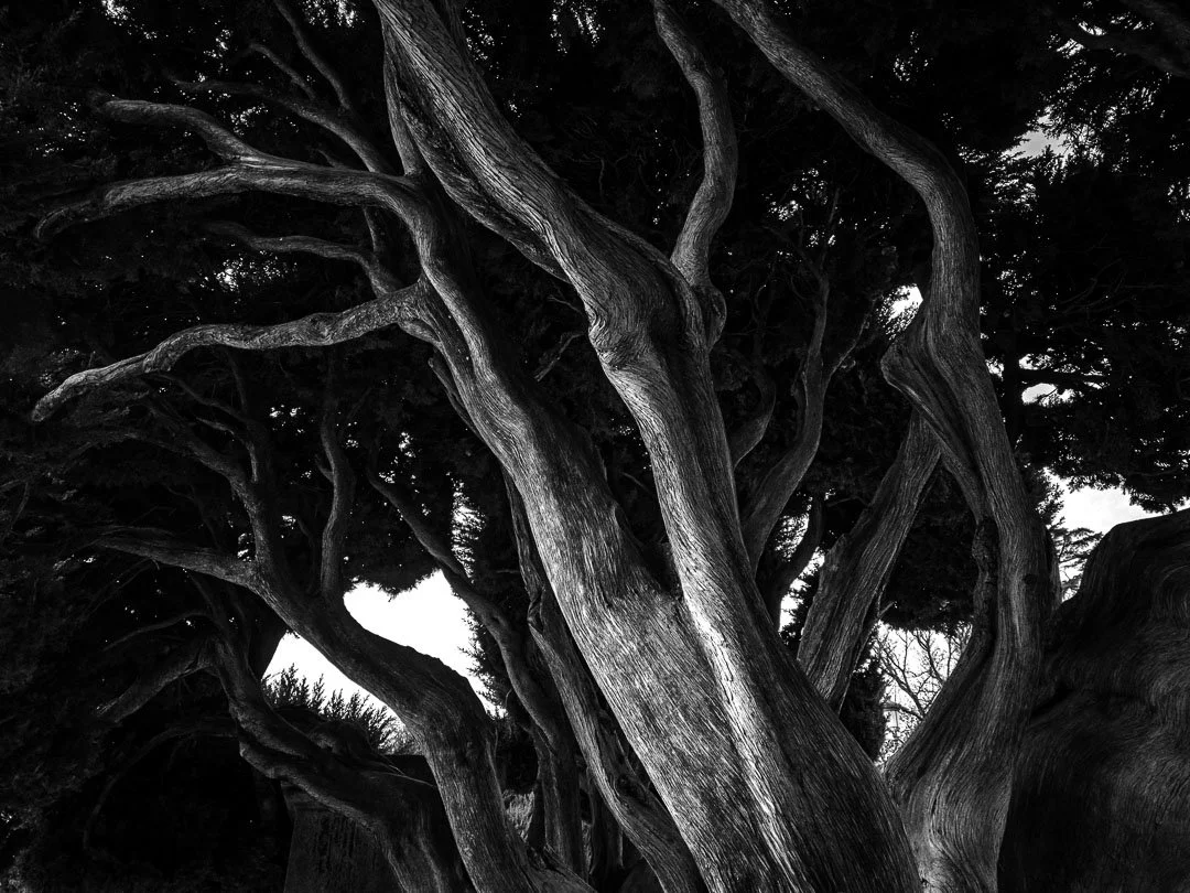 2021_Cypress_Retiro-6-Edit.jpg