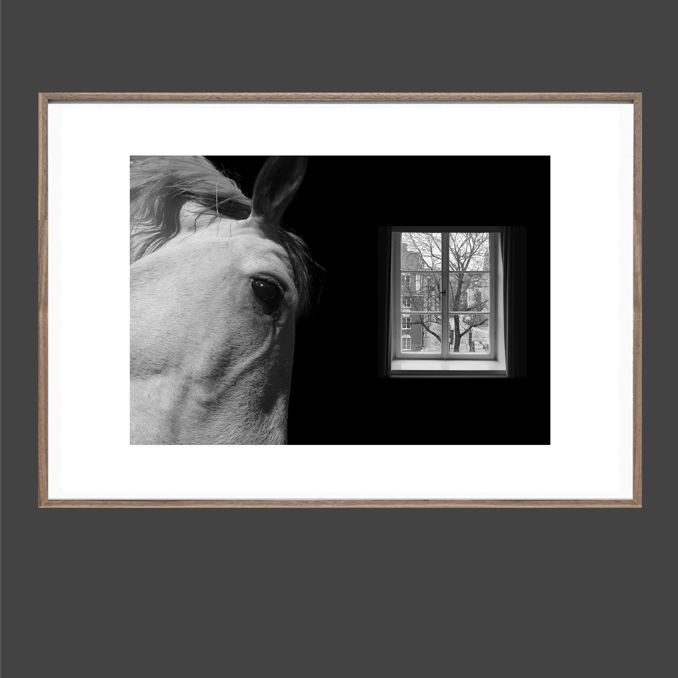 untitled shoot-006.PNG