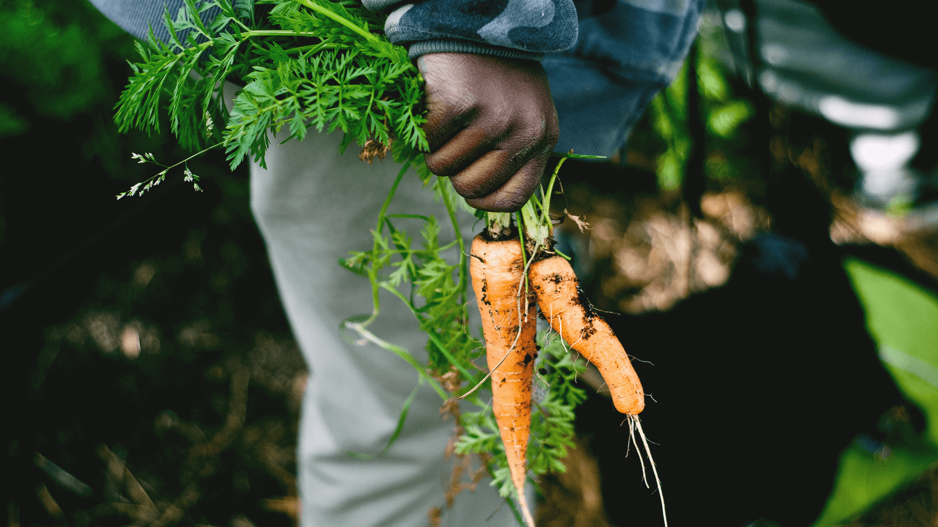 Home_HERO-FoodHome-01.png