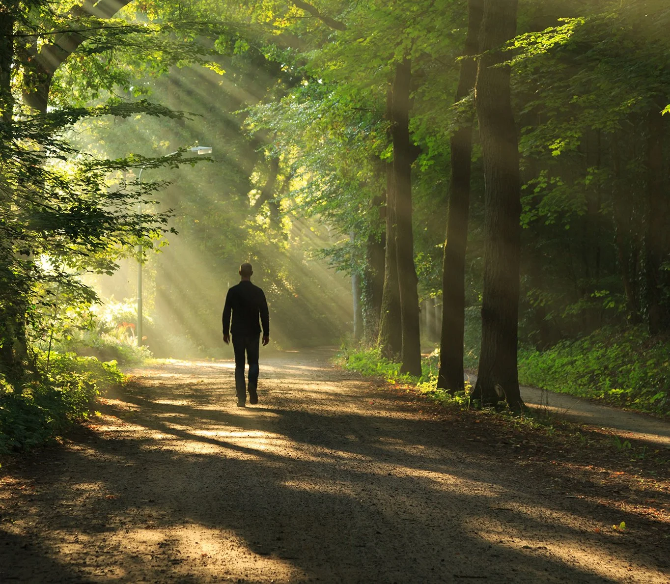 The Weekly Random Walk – June 10, 2024 From Stephen Colavito