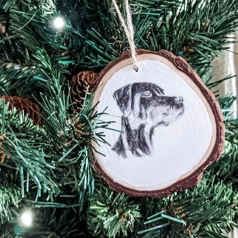 Pet Portrait Ornaments