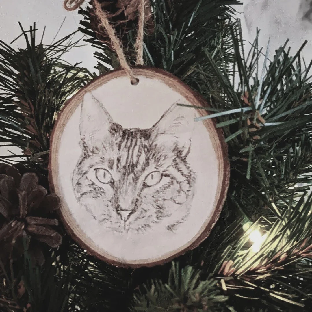 catornament1.jpg