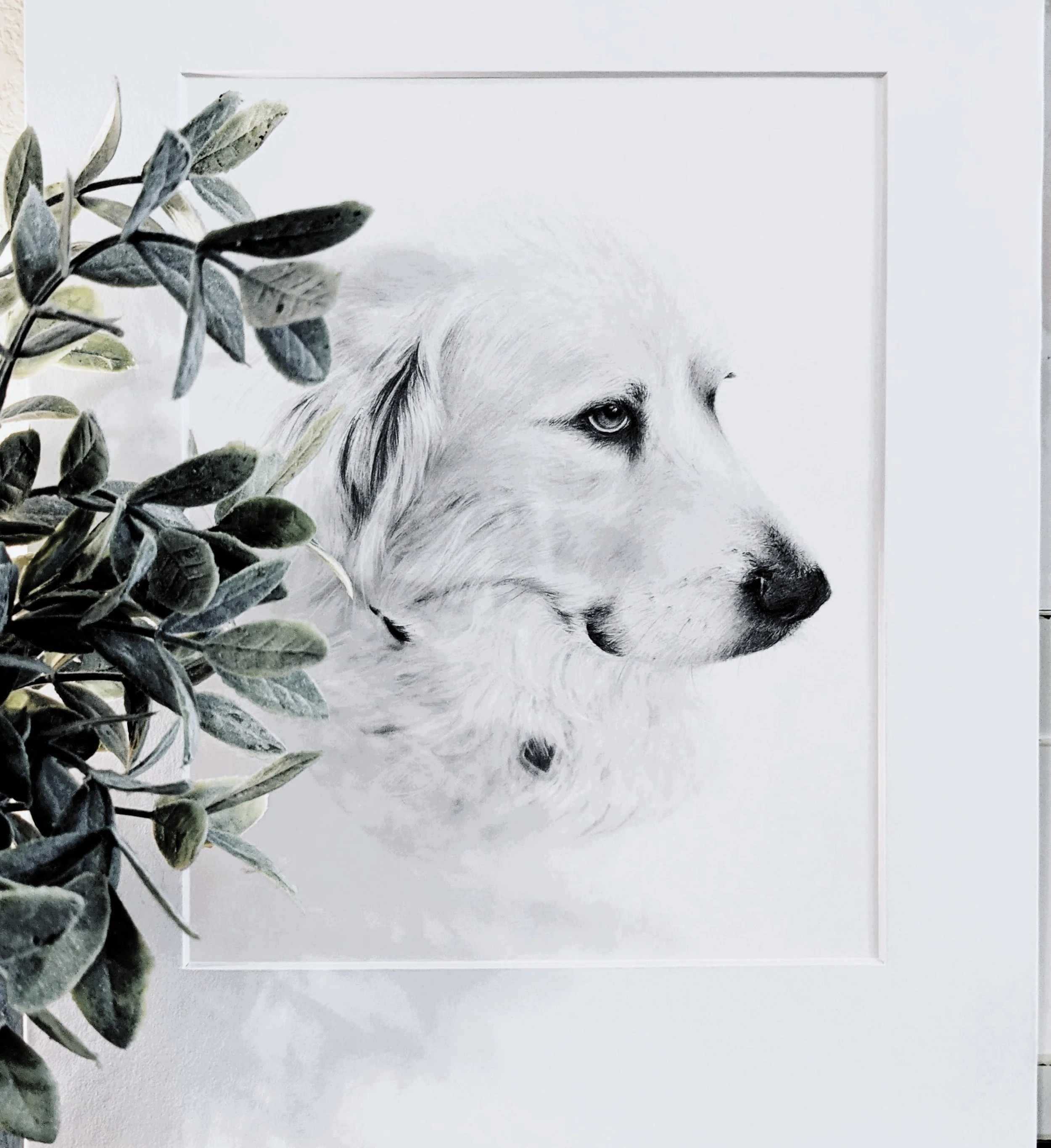 Pet Portrait