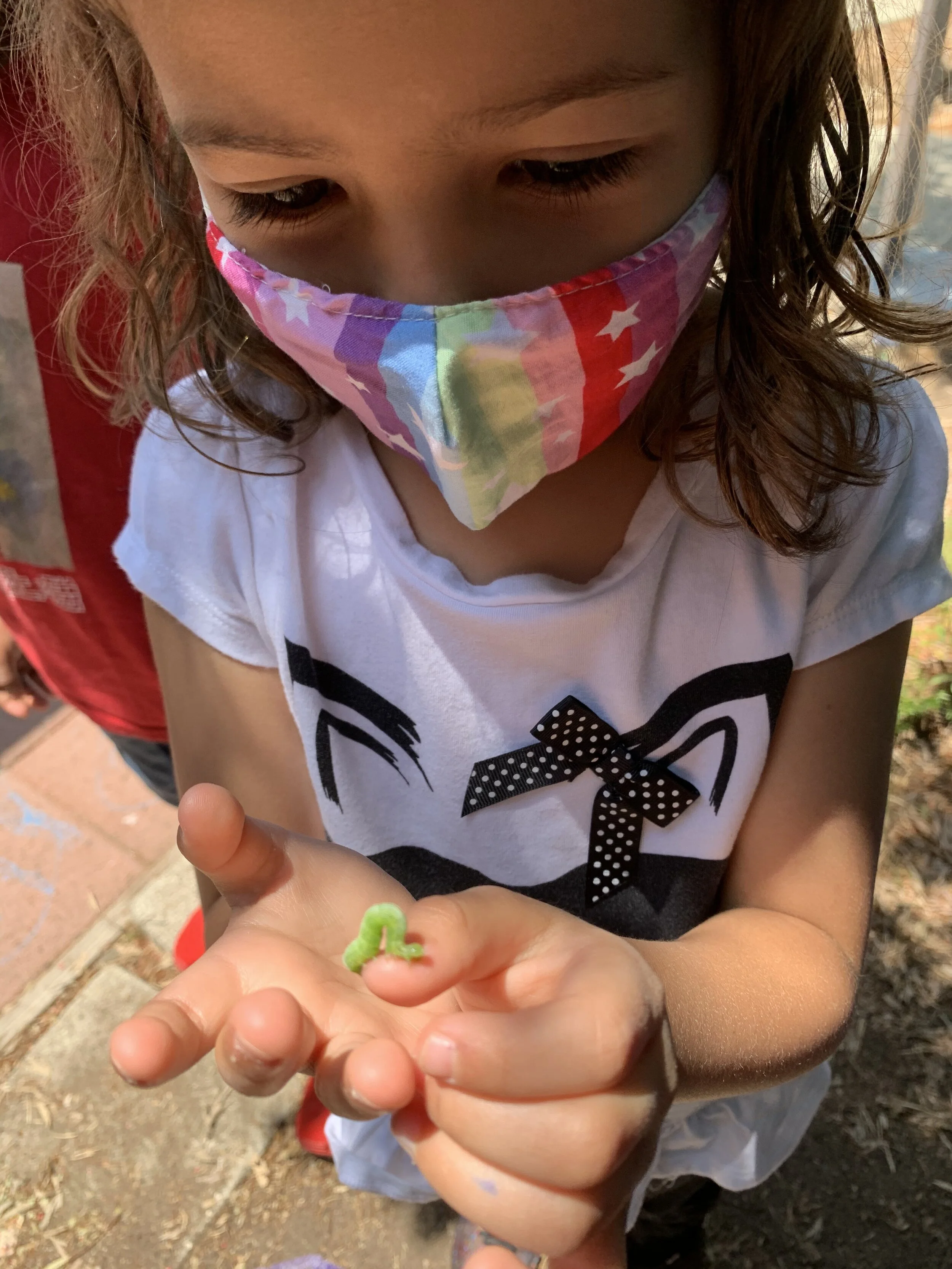 IMG_7727.jpeg