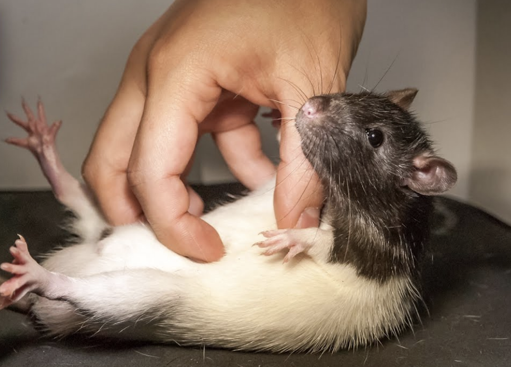 Screen Shot 2020-06-13 at 2.47.03 PM.png