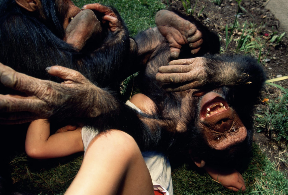 Screen Shot 2020-06-13 at 12.42.48 PM.png