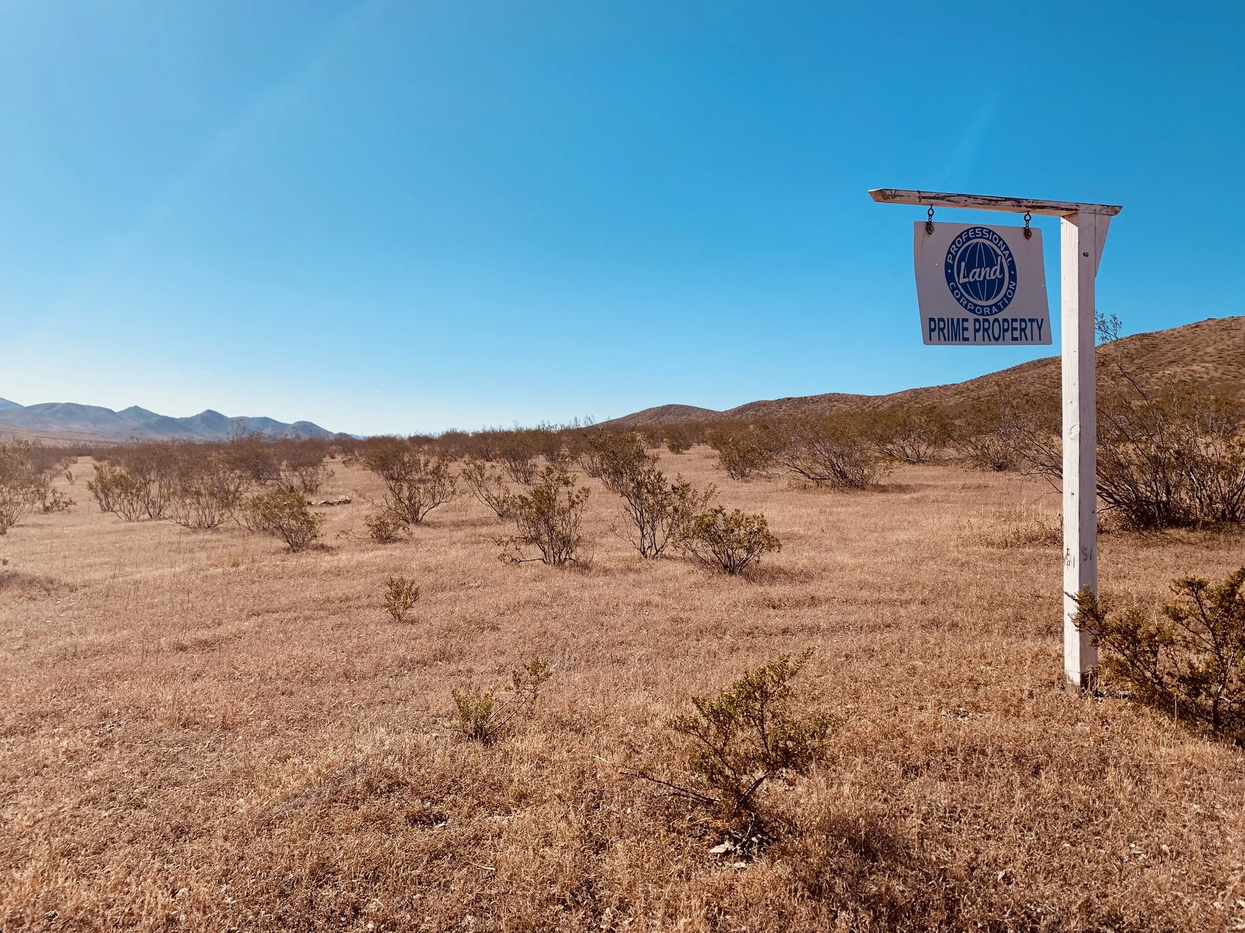 A Wine Glass in the Bushes
