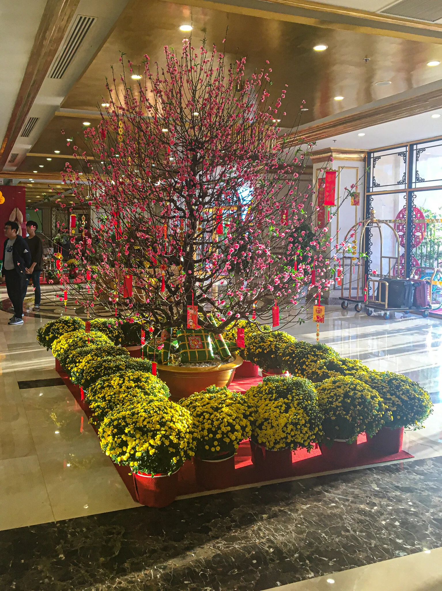 v 19.jpg