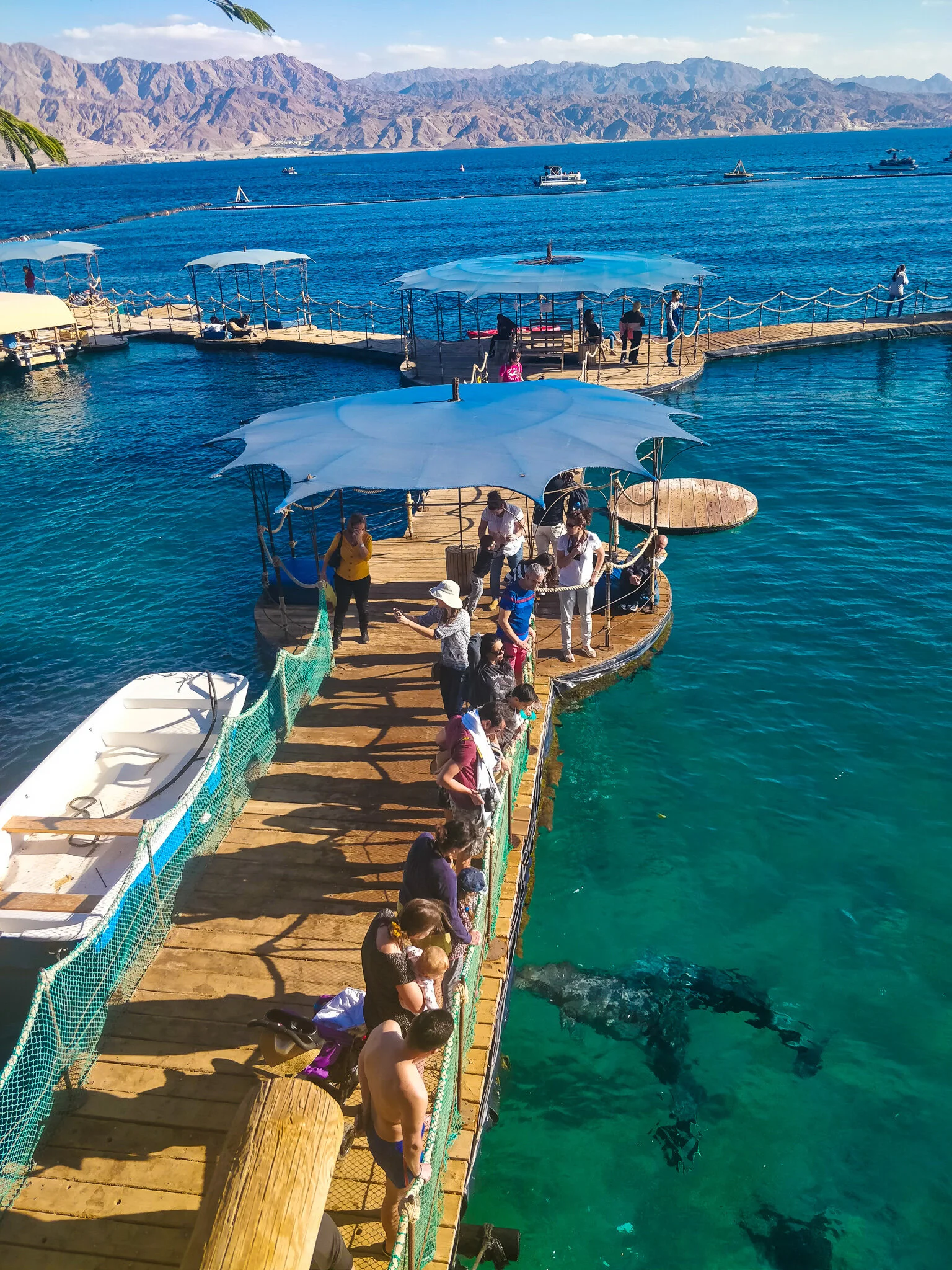 Reciful Delfinilor din Eilat
