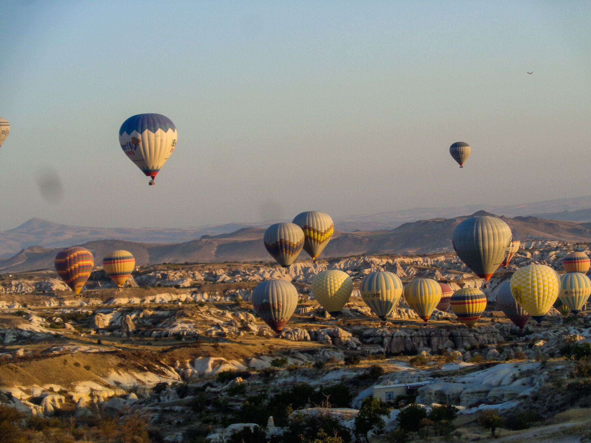 Vagrant dilute passage Zbor cu balonul in Cappadocia- impresii, sfaturi, cat costa un zbor cu  balonul cu aer cald — O Mie si Una de Calatorii
