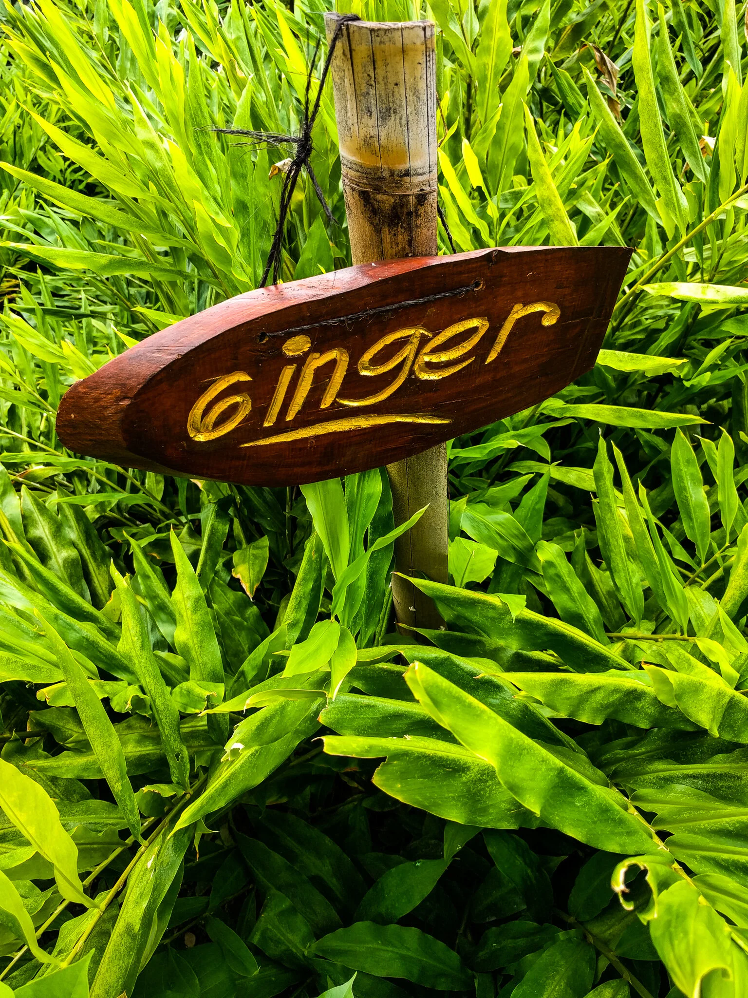 Bali, povestea condimentelor cu iz de frangipani