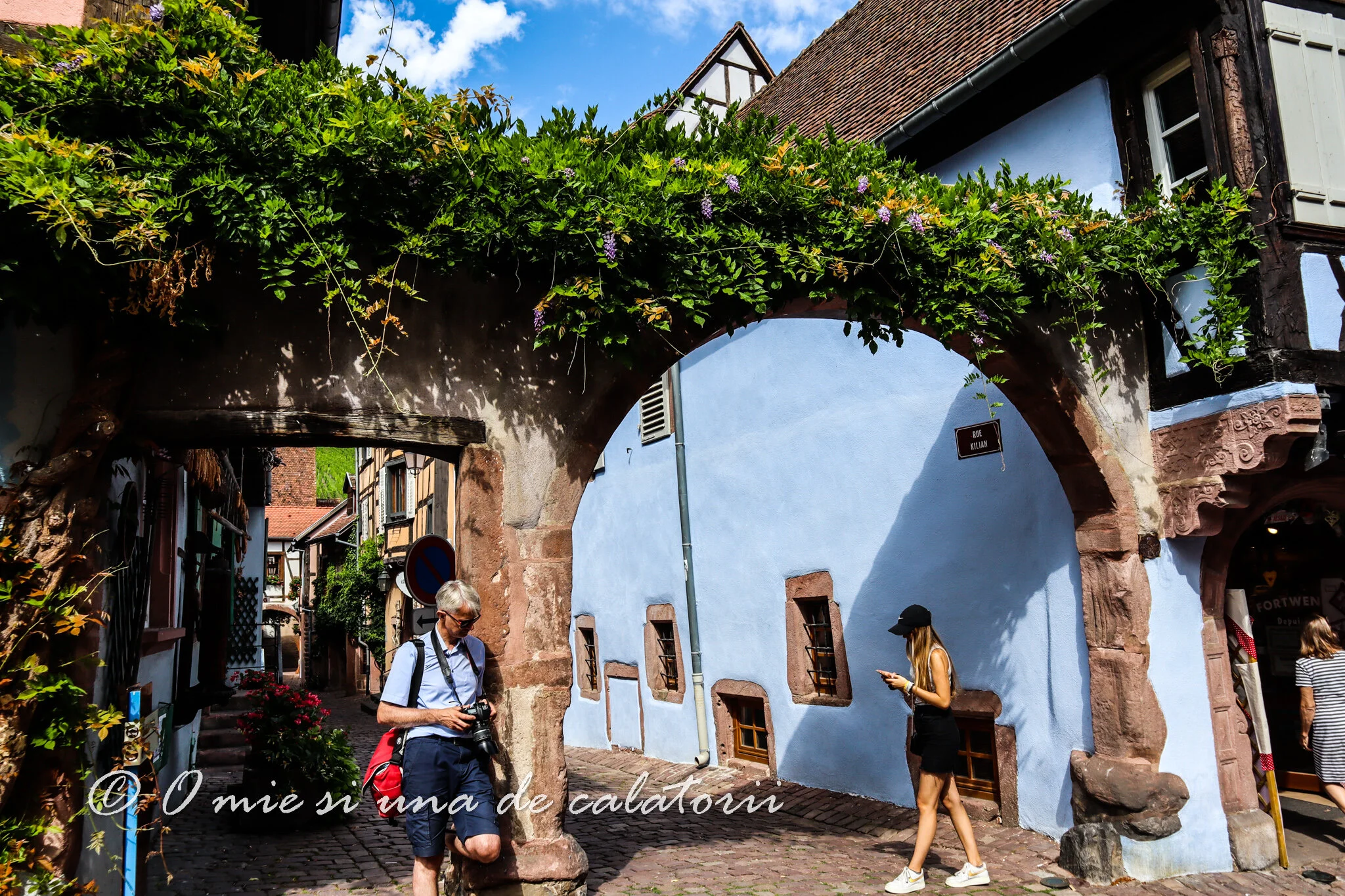 Franta | Pe Drumul Vinului, in Alsacia. Riquewihr: sarmul arhaic