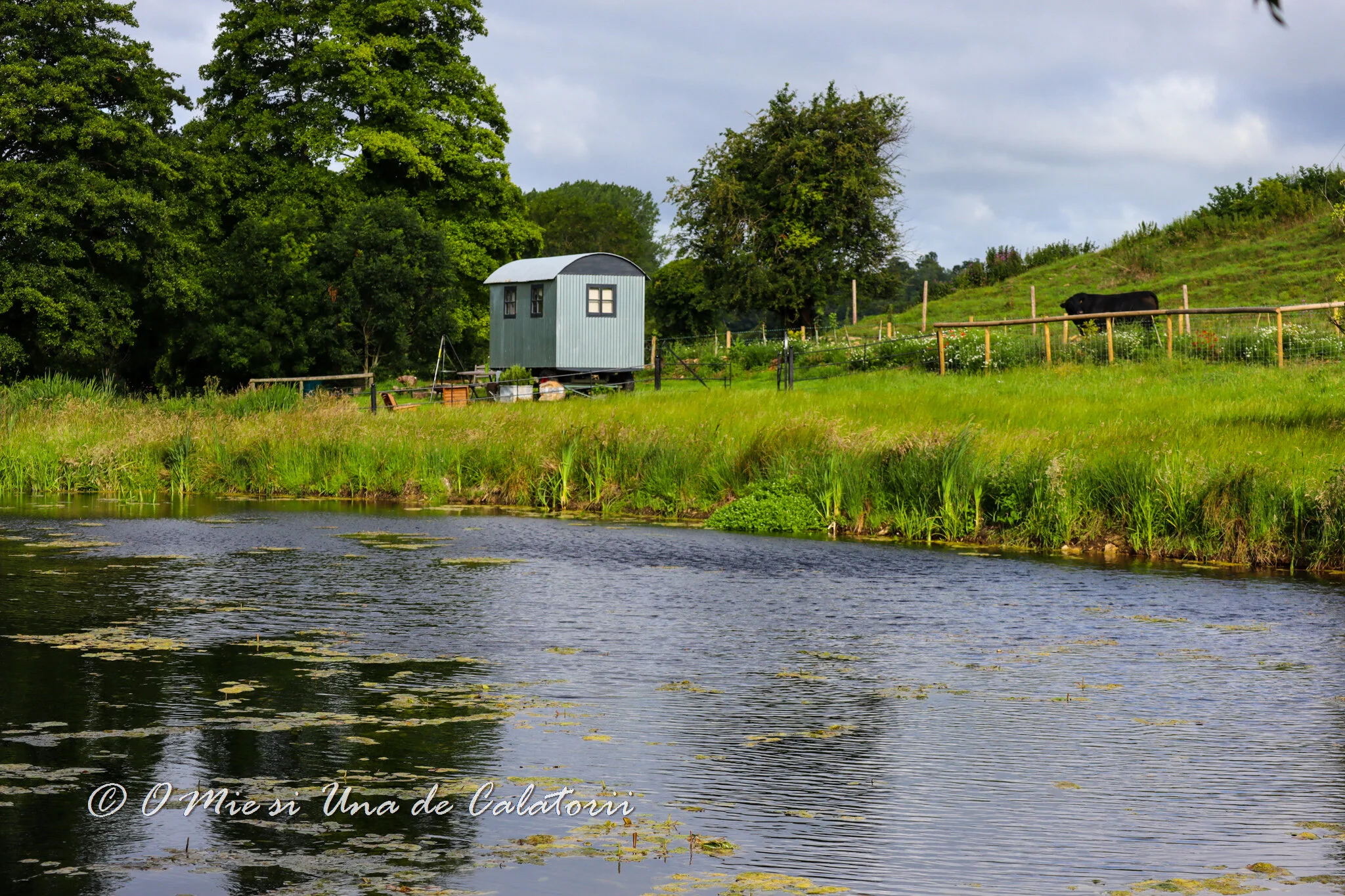 Anglia - cazari inedite: Bill's at Goathill Farm (Dorset), o experienta pe care sa o incerci vara aceasta