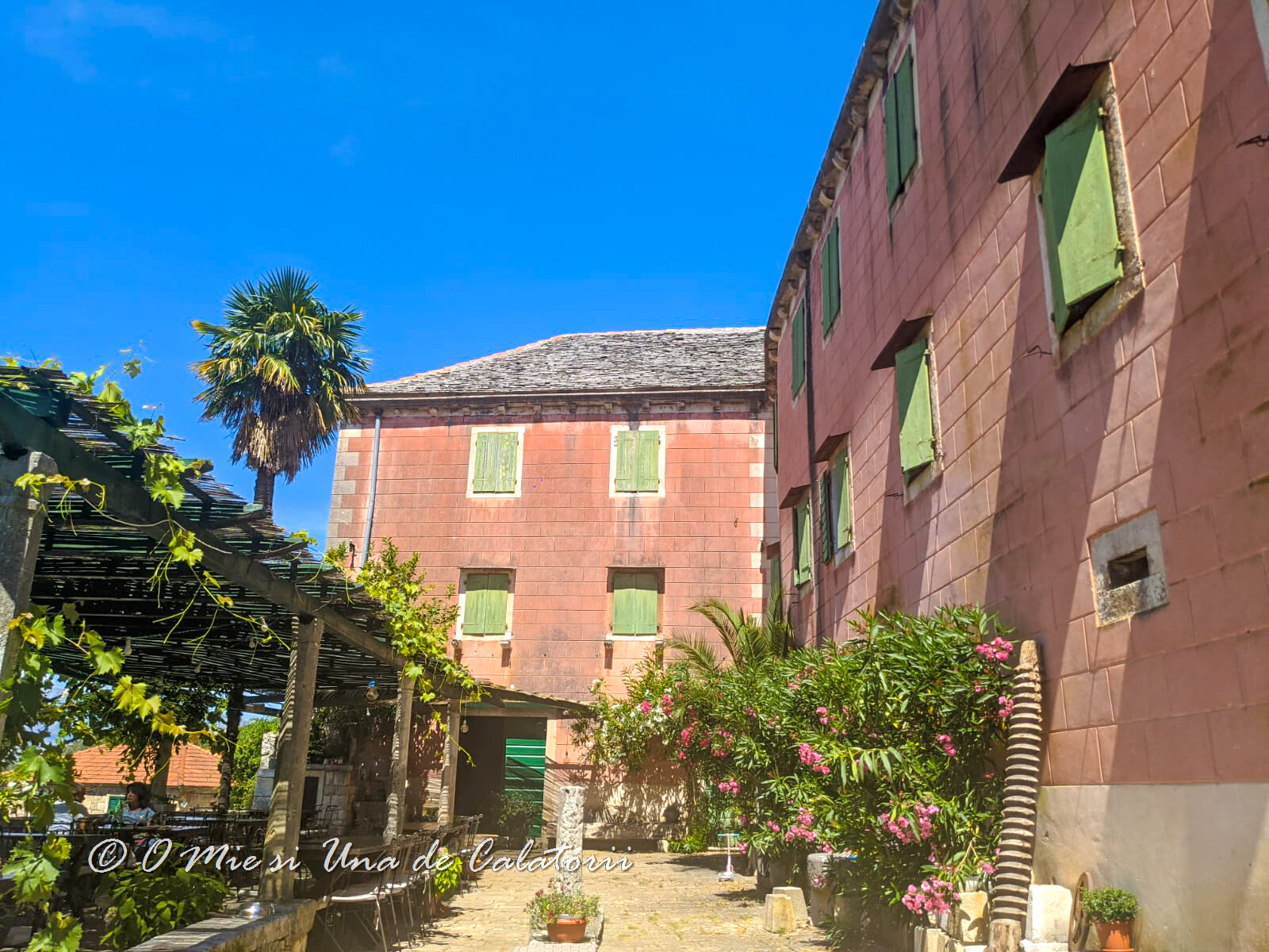 Croatia | Top 3 restaurante unde am mancat bine pe insula Brac. Locatii de poveste si retete traditionale delicioase