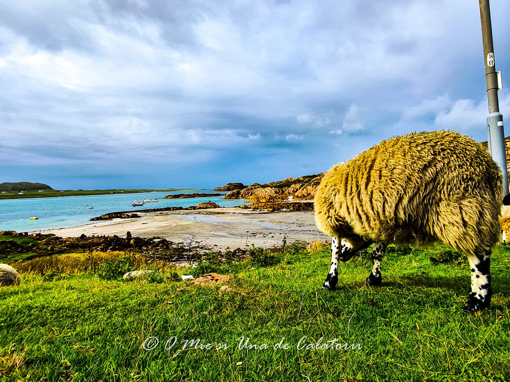 Vacanta in Hebridele Interioare - Insula Iona (Scotia)