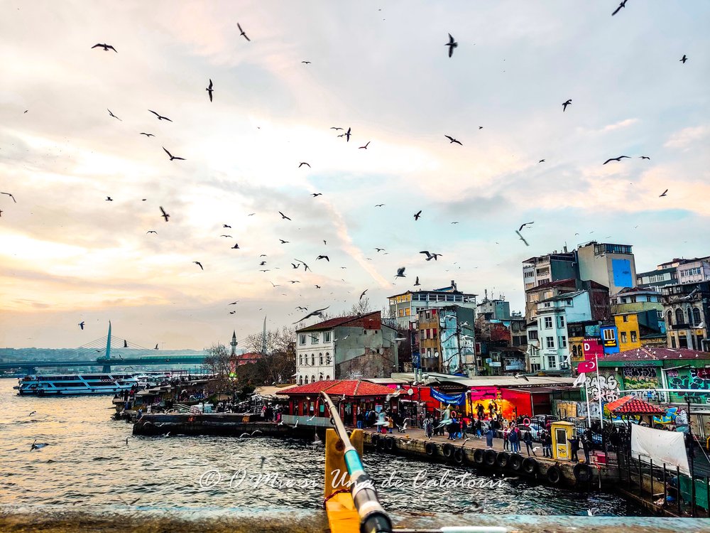 Unde sa te cazezi in Istanbul: cele mai potrivite zone pentru vizitarea obiectivelor turistice, pentru cumparaturi sau escapade romantice — O Mie de Calatorii