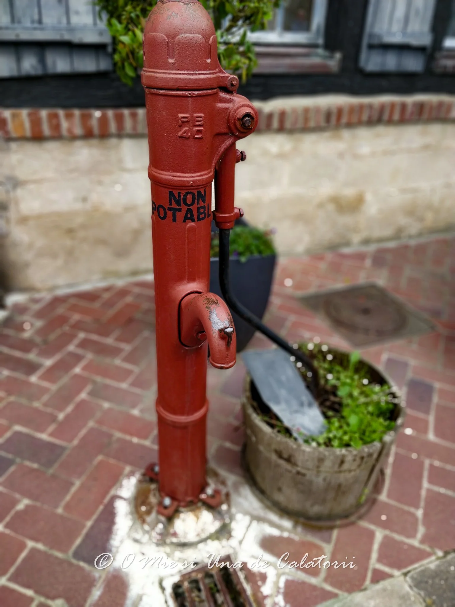 IMG_20180614_124732_Bokeh.jpg