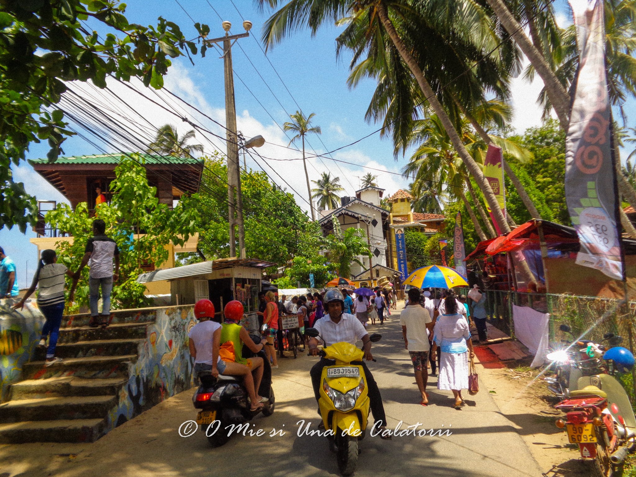 DSC01216-2.jpg