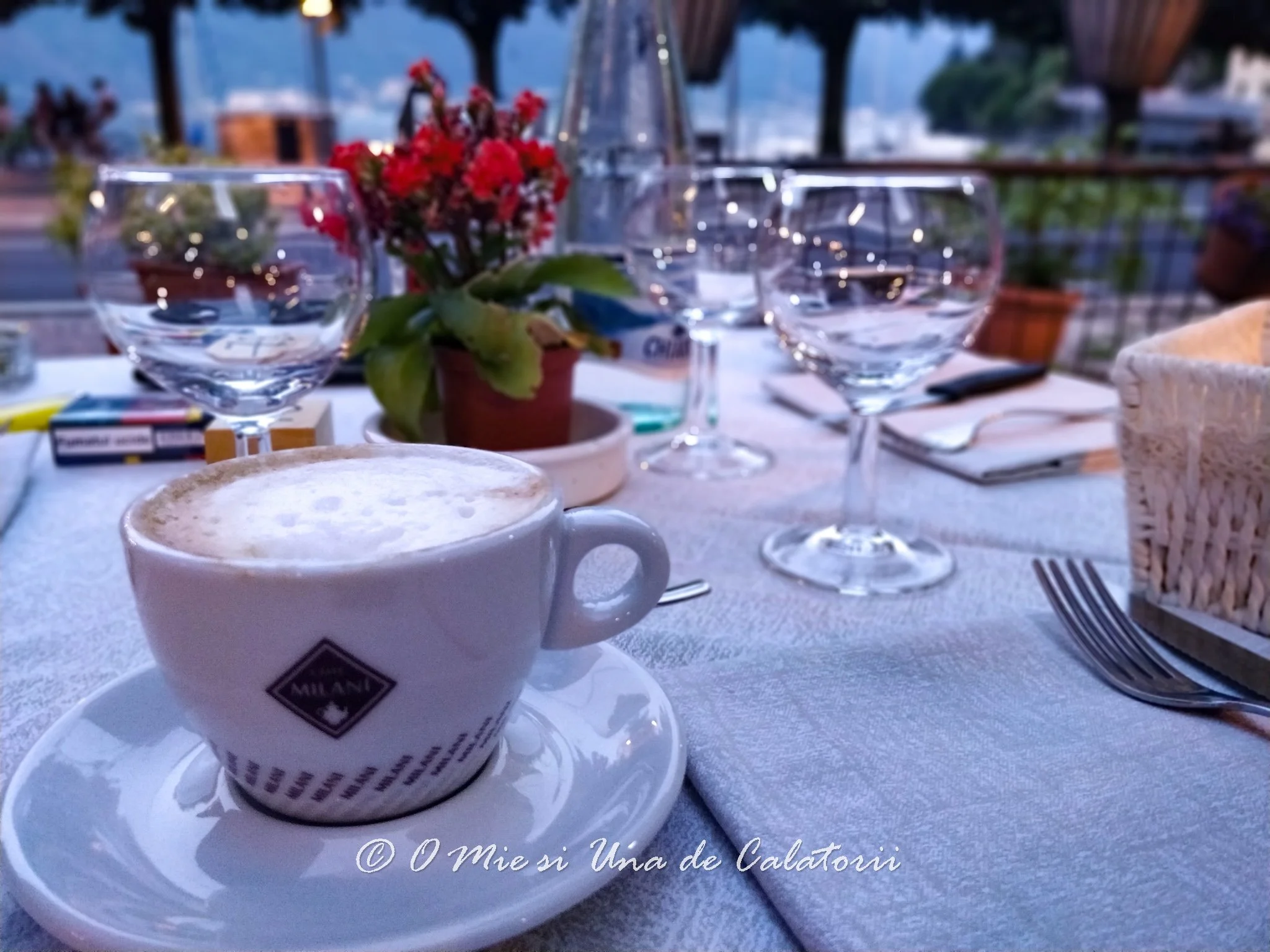 IMG_20190808_205334_Bokeh.jpg