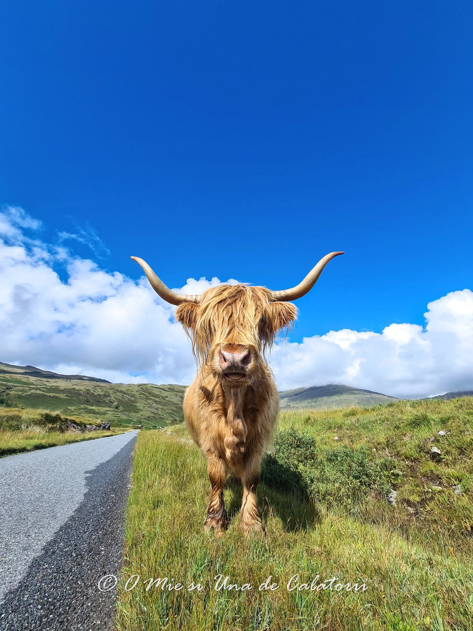 Highlands: Mull, insula unde trebuie sa ajungi macar o data-n viata