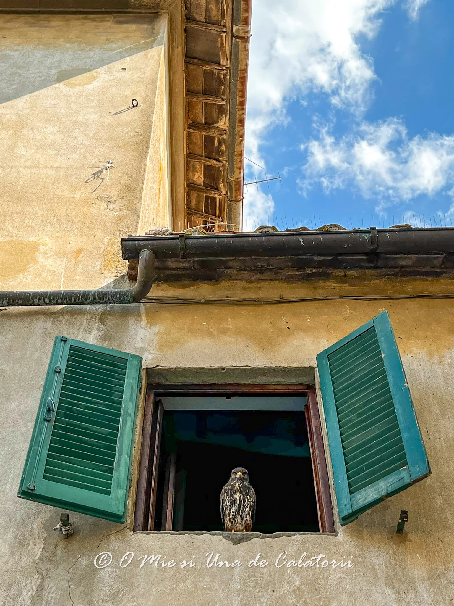Italia | Panzano in Chianti: un popas perfect in cea mai cunoscuta regiuna viticola din Toscana sau o excursie de o zi din Florenta