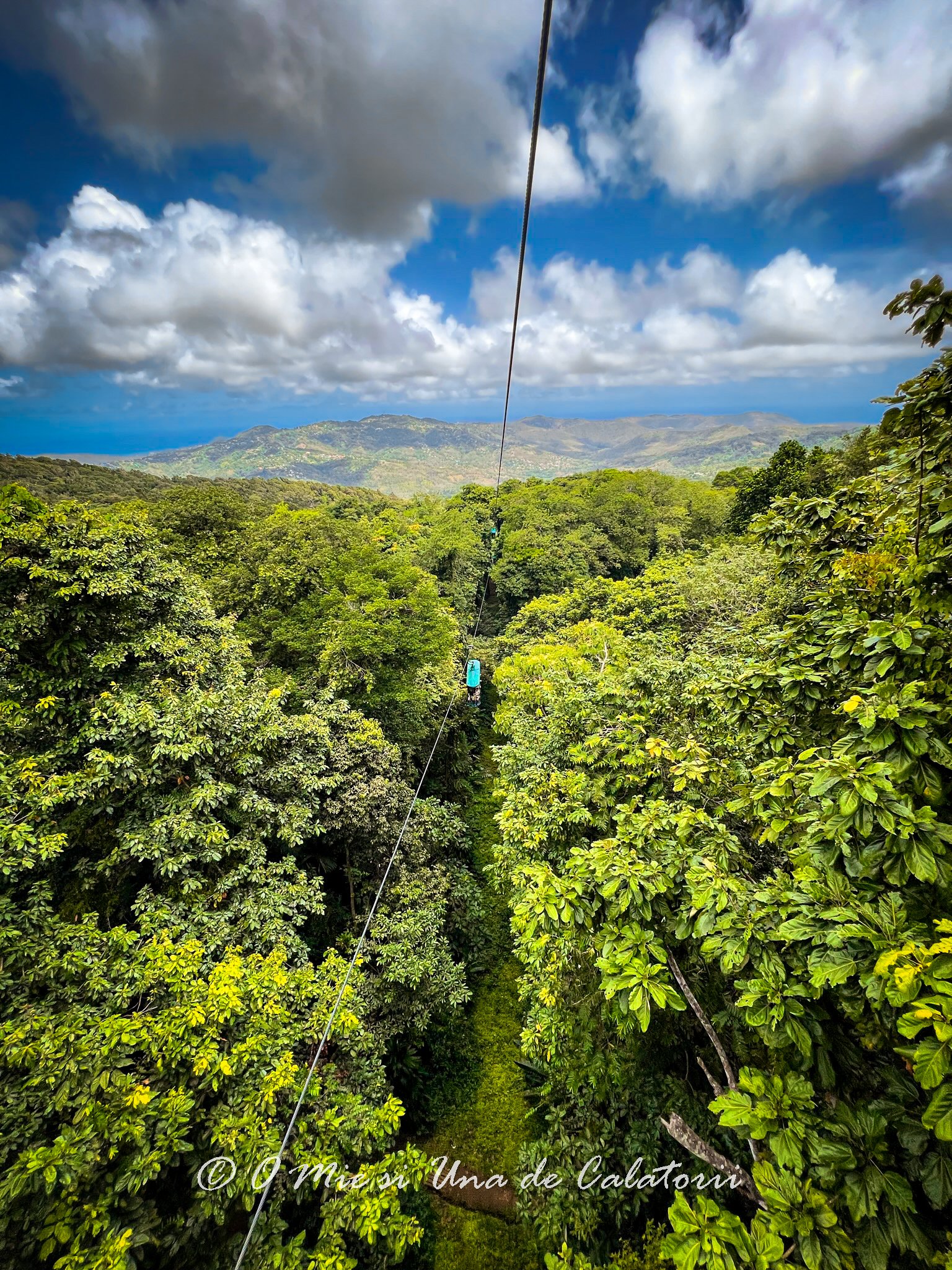 Rainforest Aerial Tram St Lucia: adrenalina si privelisti senzationale la Marea Caraibilor