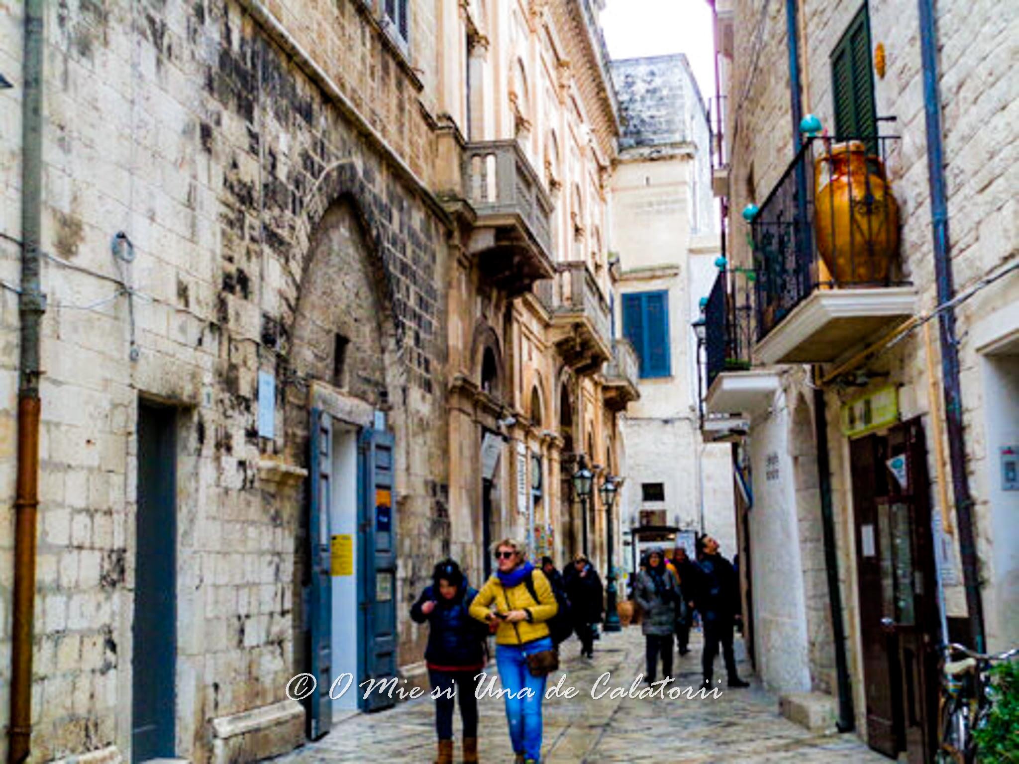 DSC07377.jpg