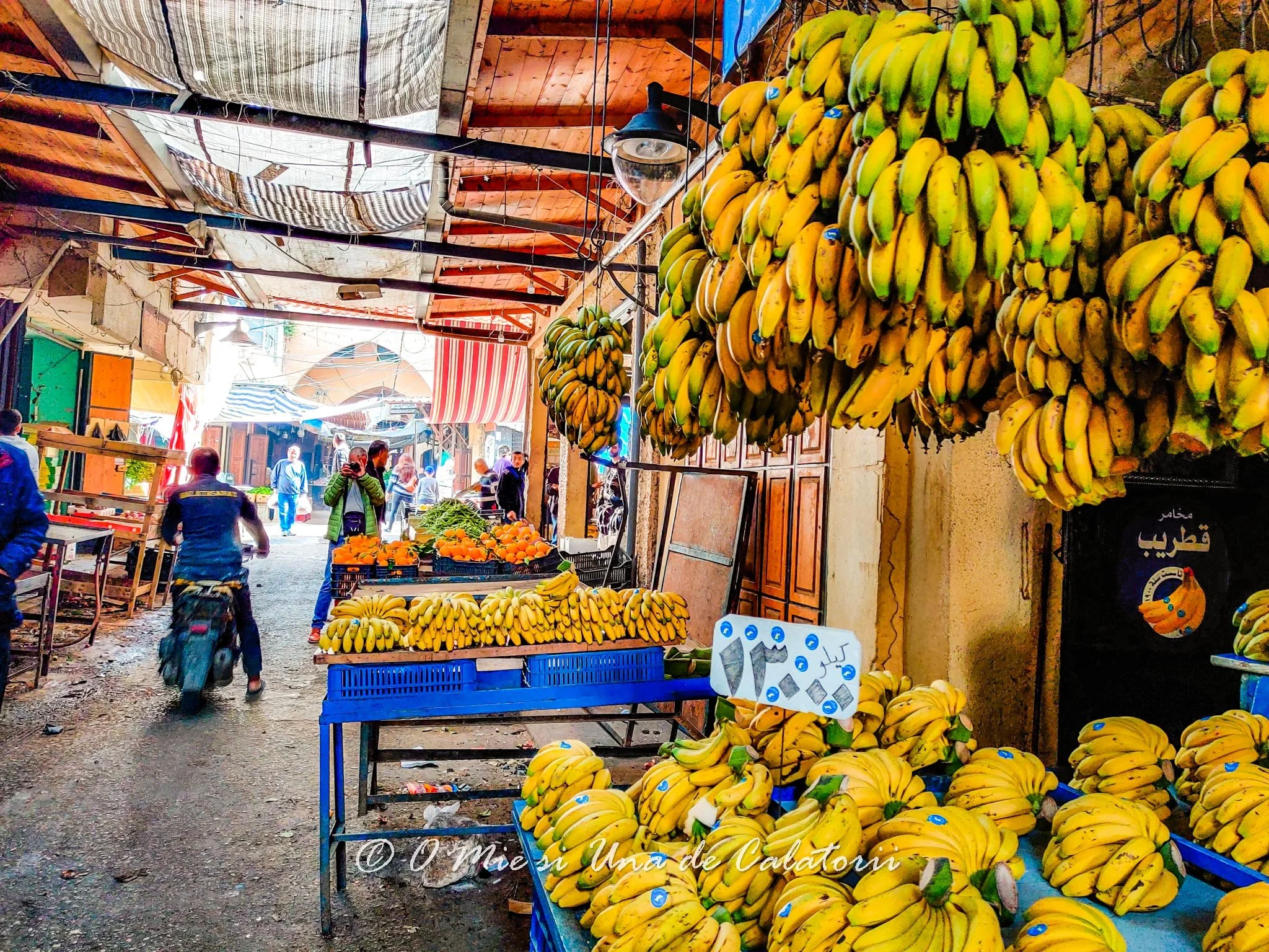 Liban | Tripoli, intr-o excursie de o zi din Beirut