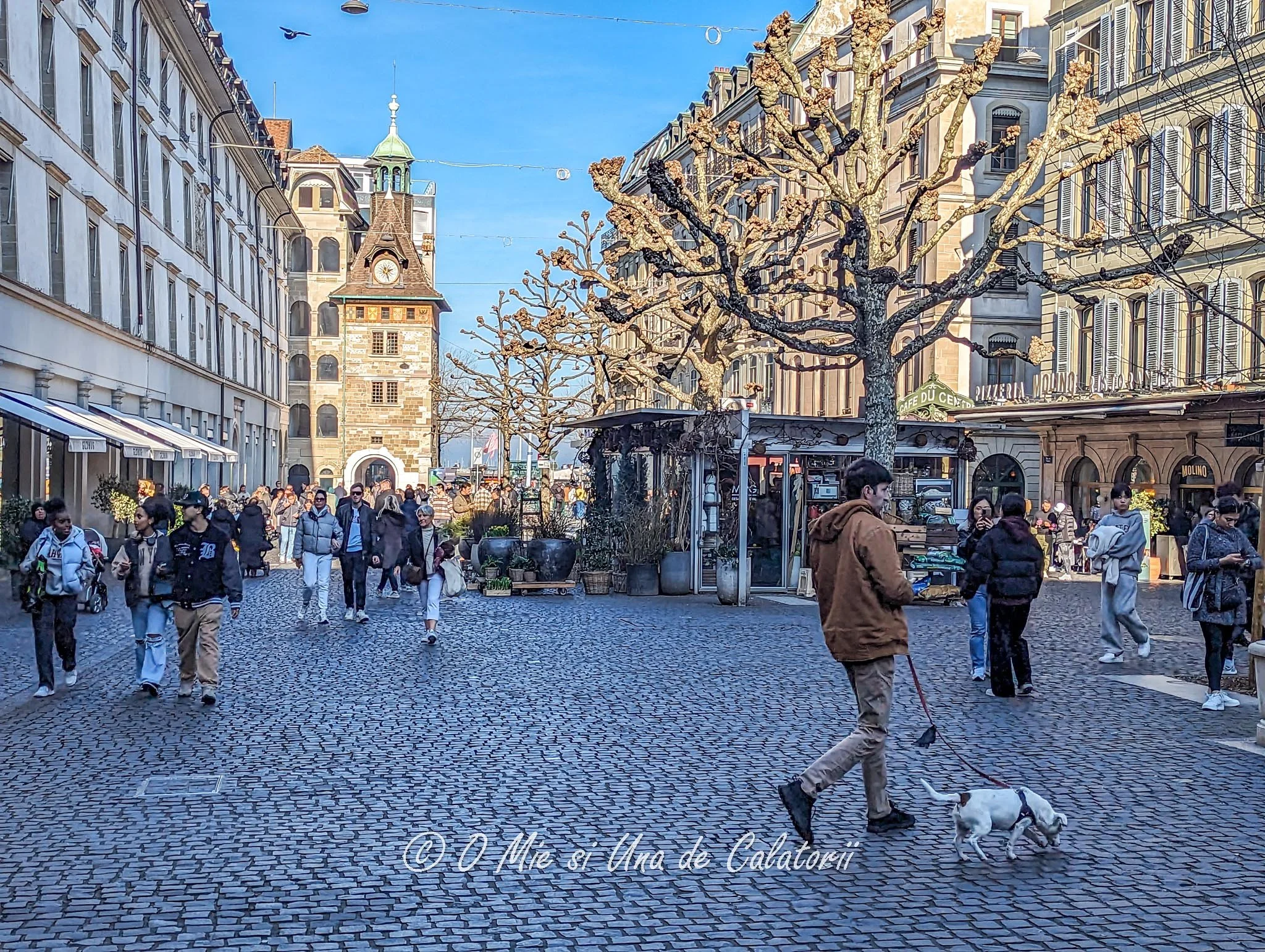 Elvetia | Ghid de calatorie Geneva: cum ajungi de la aeroport in centru, cu ce te deplasezi in oras si ce poti vedea gratuit. Geneva City Pass: da sau nu?
