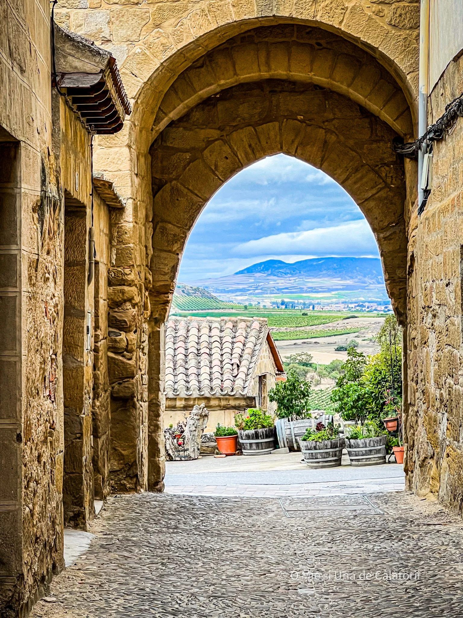 Spania | Briones : povestea vinului spusa de pe zidurile unei cetati