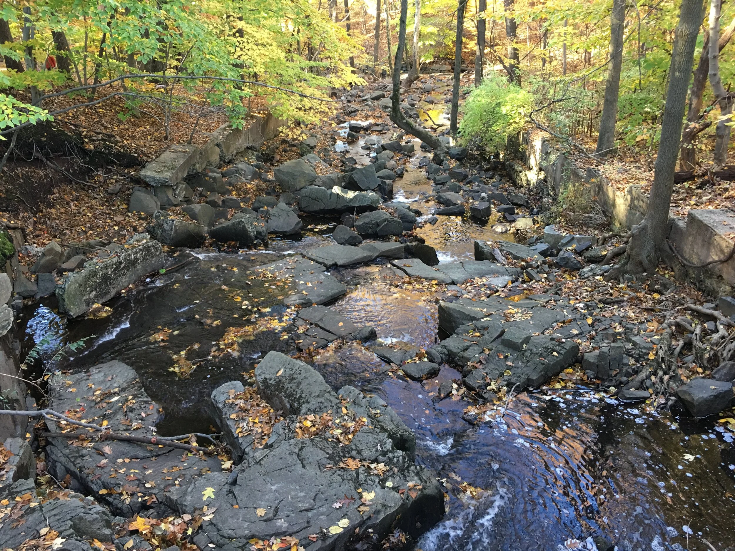Flat Rock Stream & Rocks.JPG