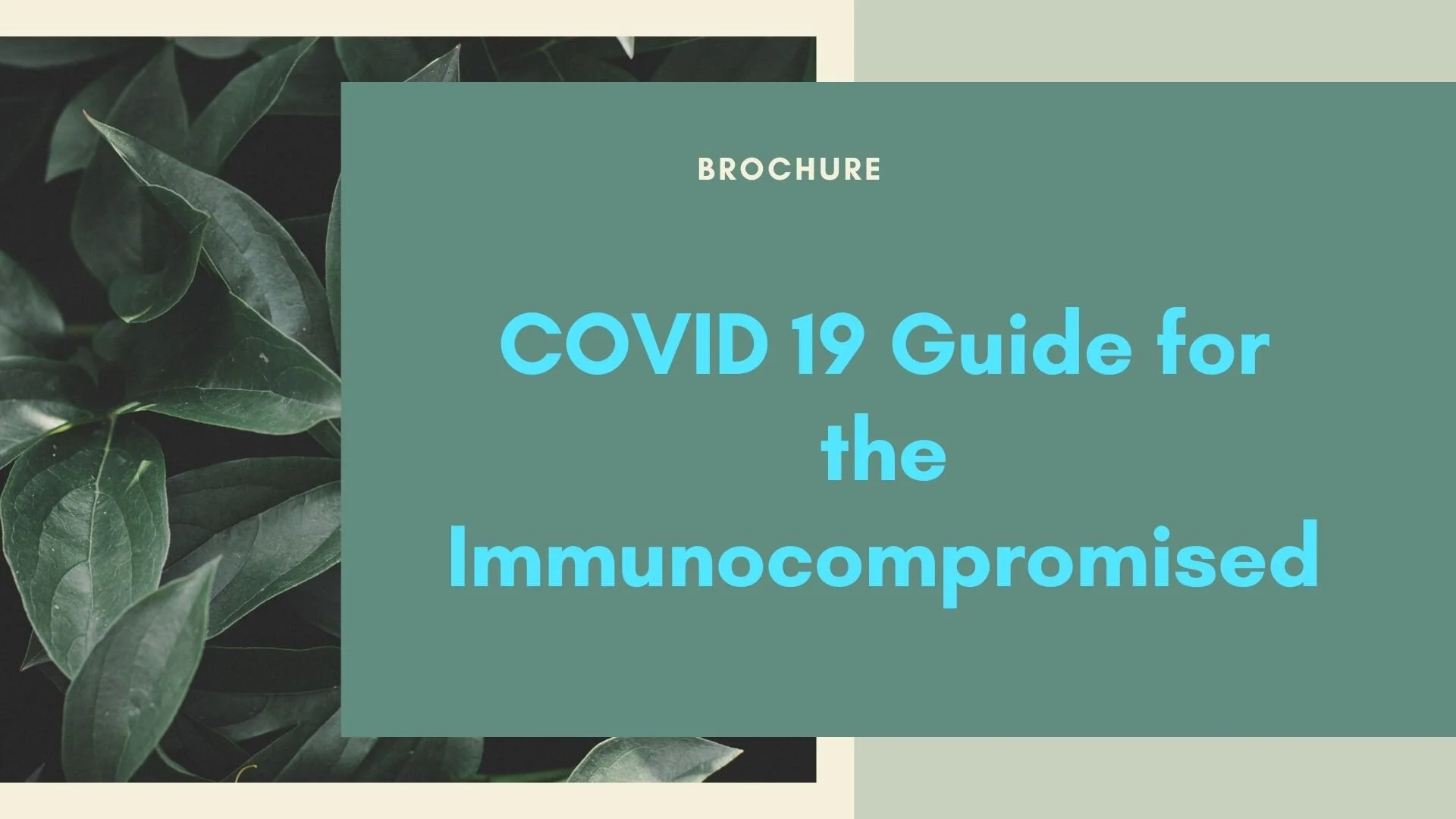 COVID 19 Guide for the Immunocompromised. Click Below to Access.