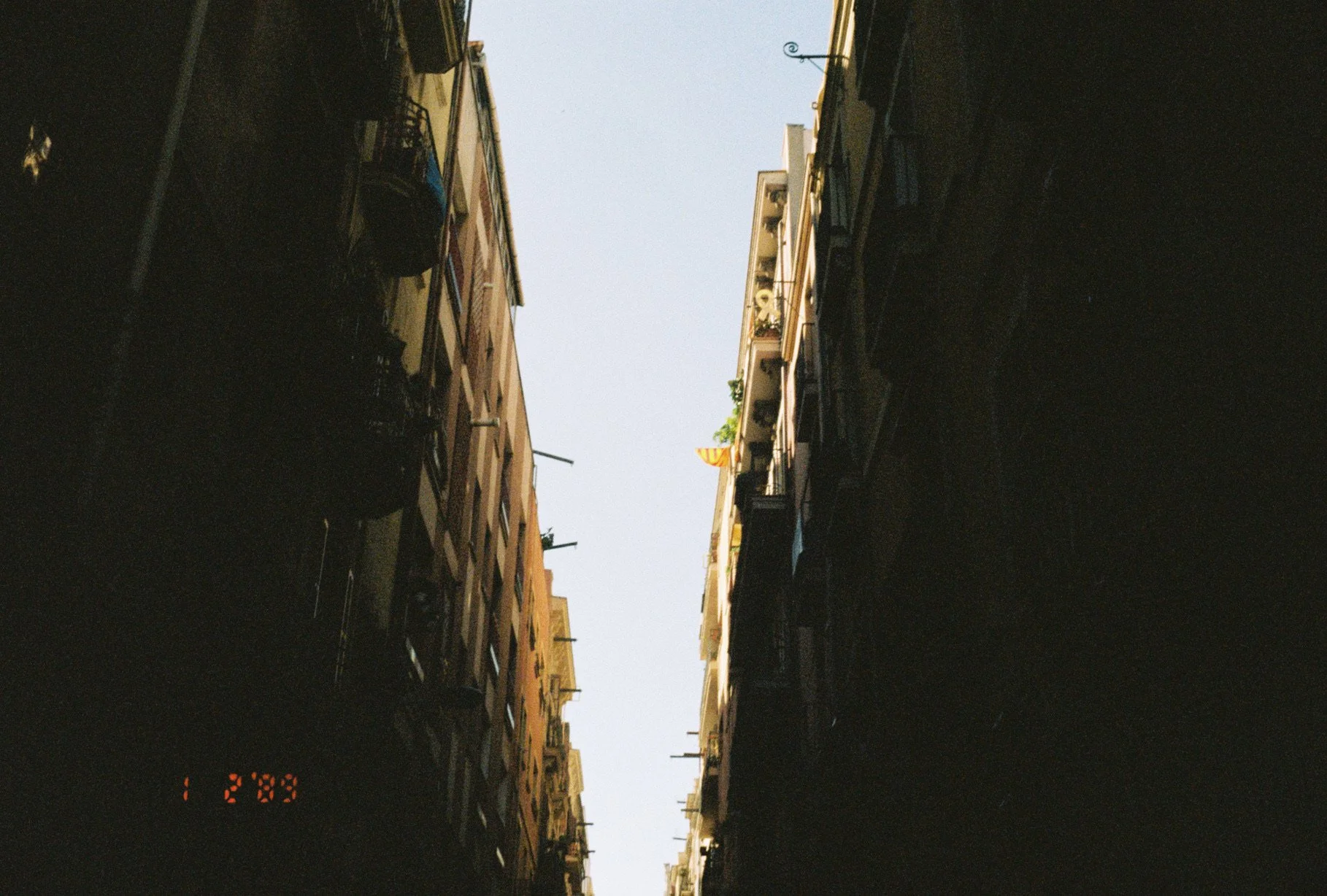 8AD51CD9-9026-4A6C-8193-6C6F43A2E1B7.jpeg
