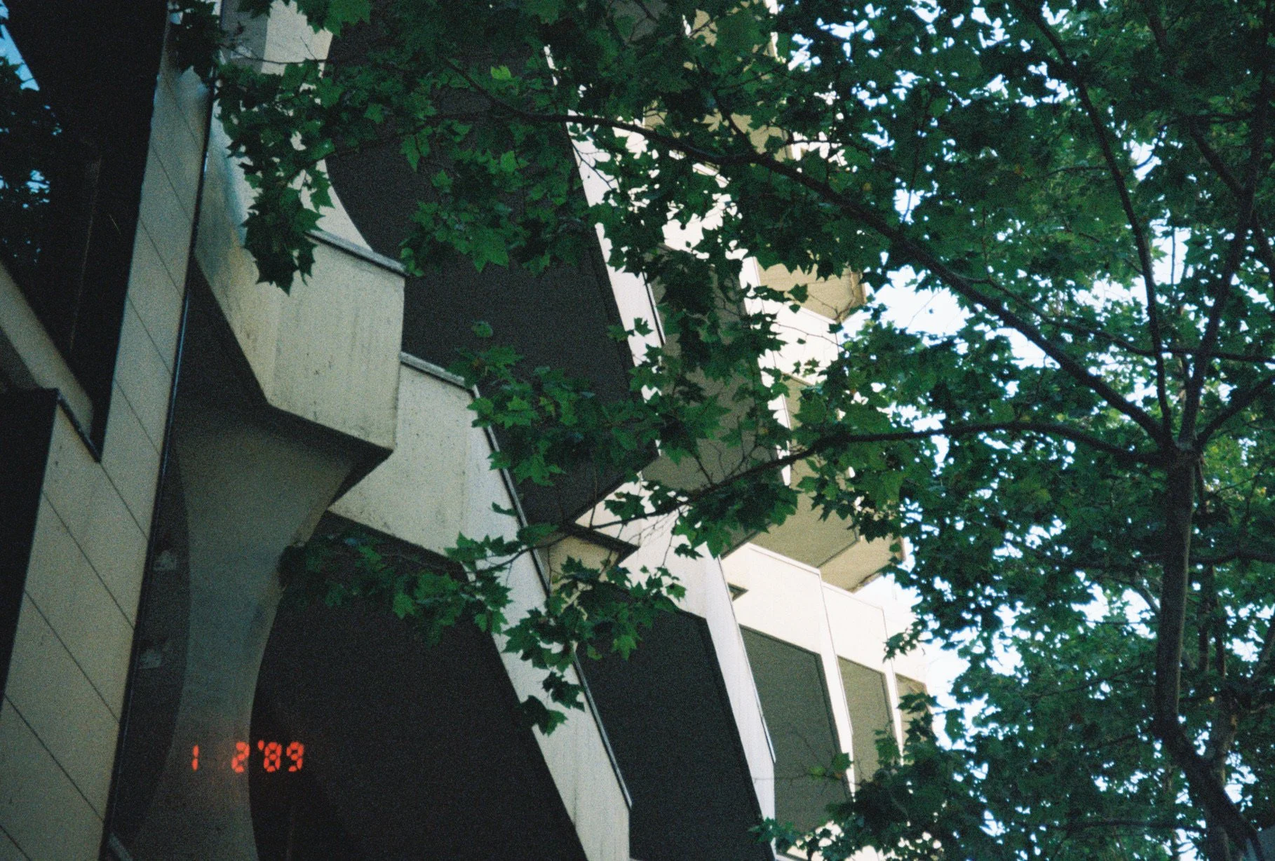 E17BAE3D-794D-4DCF-92C4-736255B35ECC.jpeg