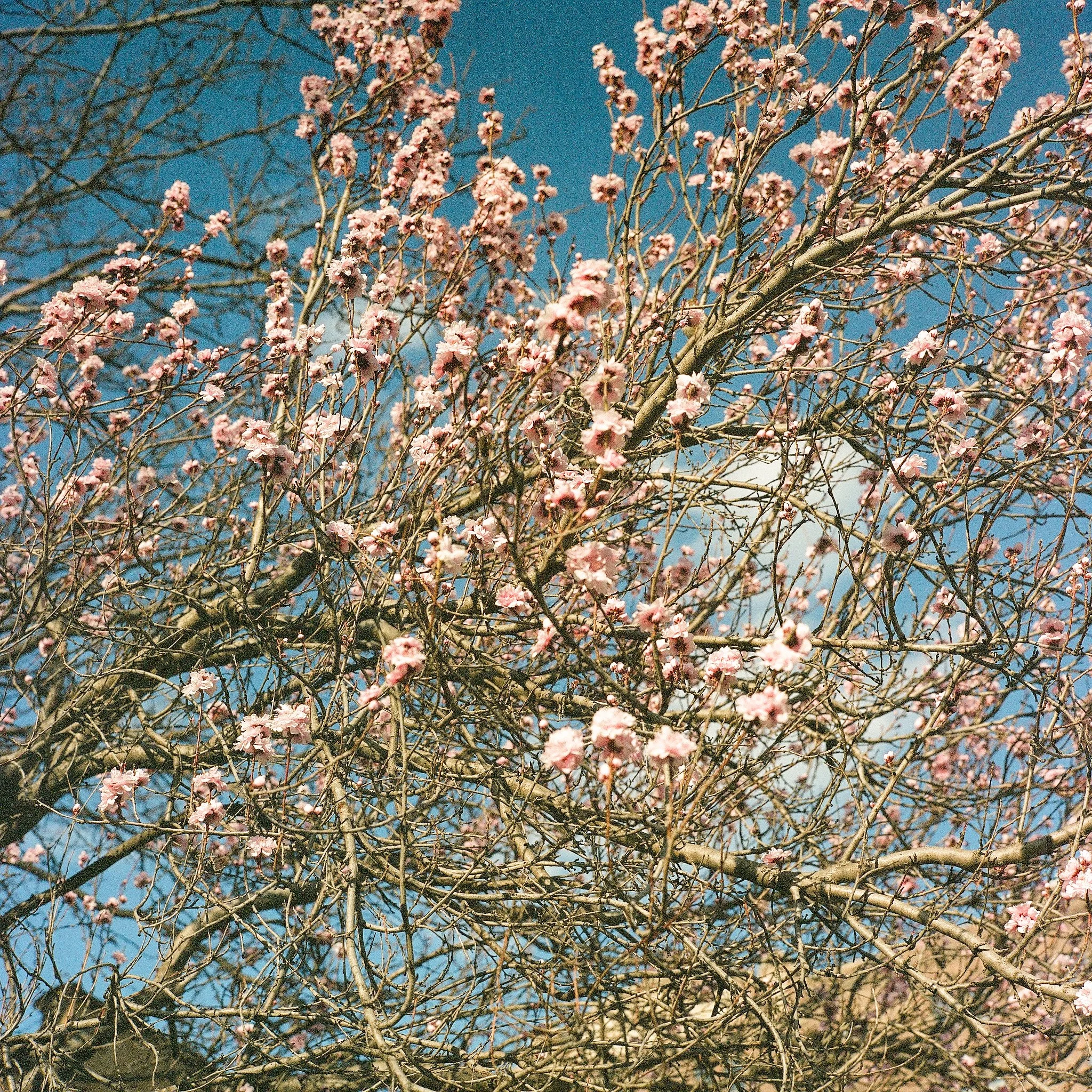 E-000456070005.jpg